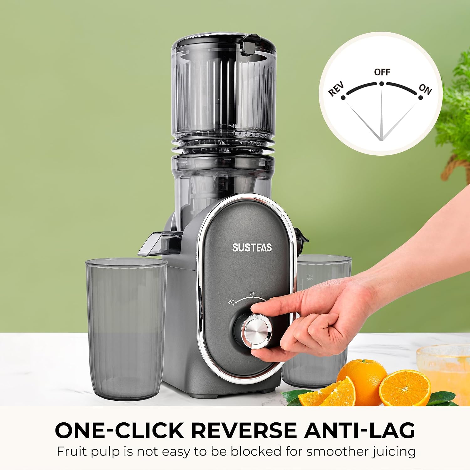 Thumbnail 6 de SUSTEAS 5.3" Cold Press Juicer ⚙