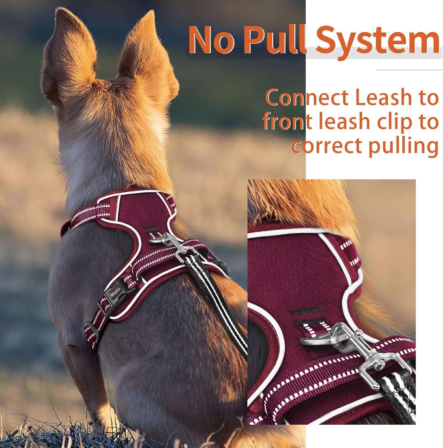 Detalle 2 de HEELE No-Pull Dog Harness for Small Dogs – Burgundy Red, Size S