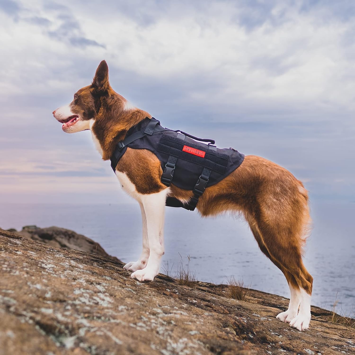Detalle de OneTigris Anti Zug Hundegeschirr XL – atmungsaktives, verstellbares Tactical Geschirr mit 2 Griffen und 3 D-Ringen