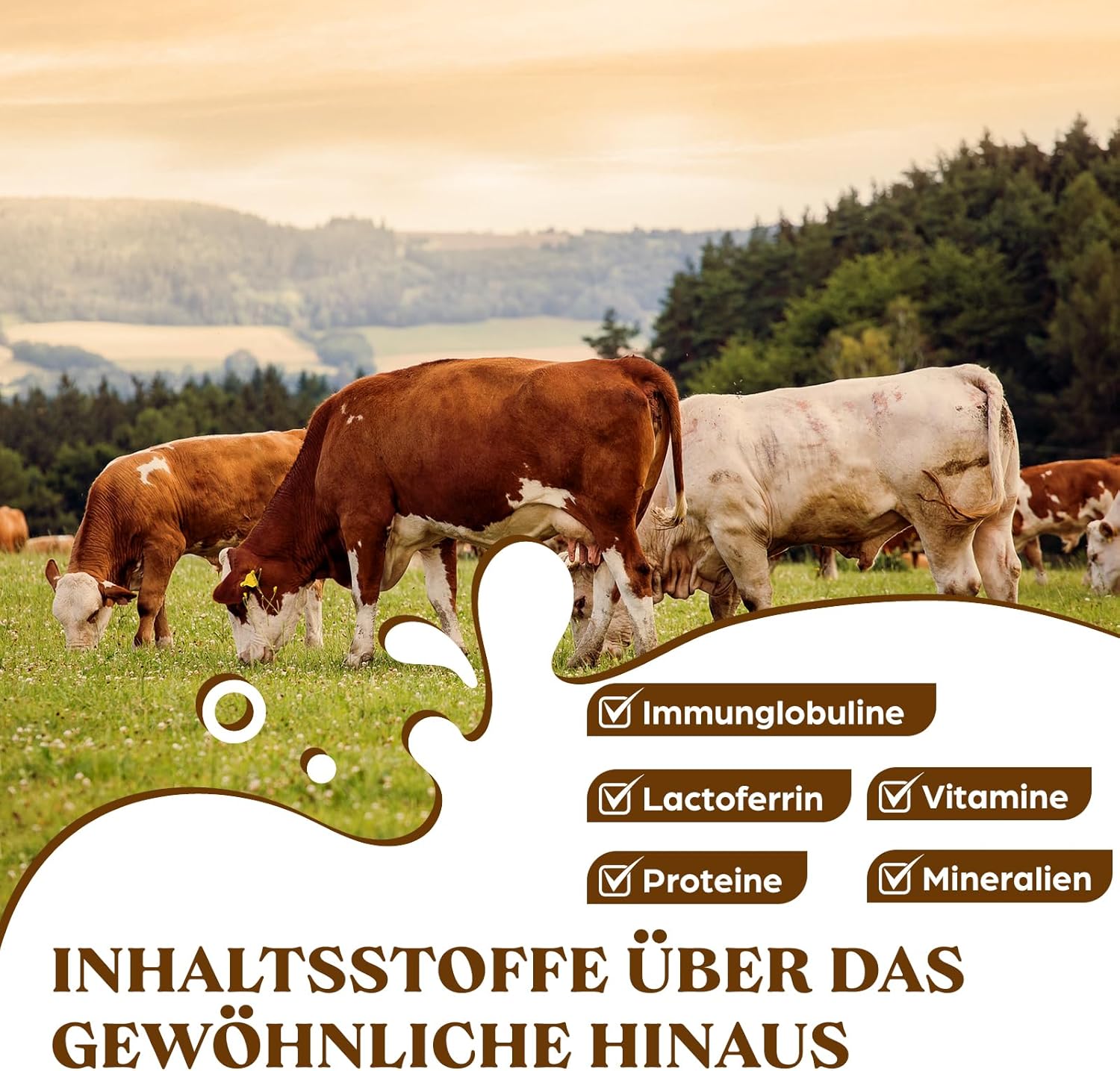 Thumbnail 2 de Liposomales Colostrum Pulver 2.500 mg – 60% IgG hohes Kolostrum aus grass-fed Rindern (lixoamale Phosphatidylcholin-Technologie)