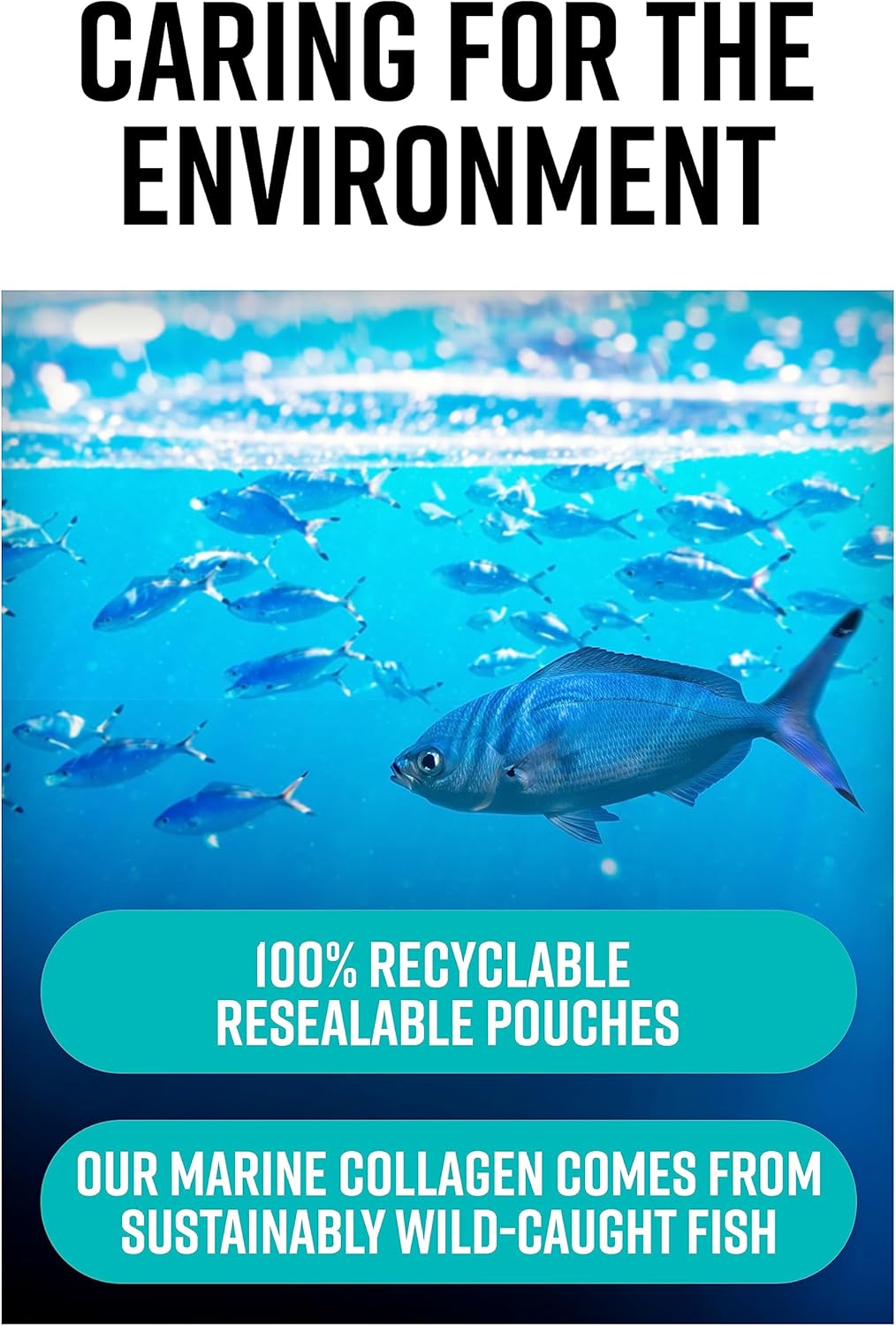 Thumbnail 6 de Hunter & Gather Colágeno Marino en Polvo 300g 💧 Calidad Premium