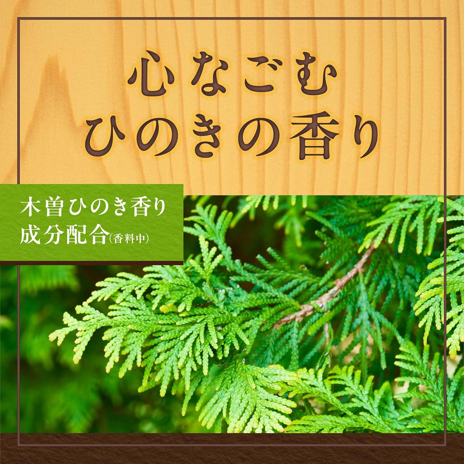 Detalle 1 de 温泡 4904740692852 贅沢とろり にごり浴 ひのき 炭酸入浴剤 12錠入×2個・温素1包