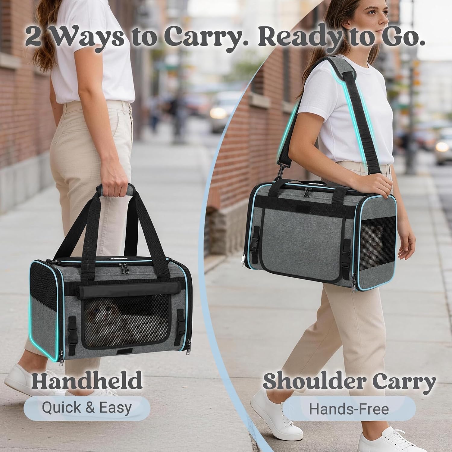 Detalle 2 de rabbitgoo Soft Cat Carrier, 17-inch