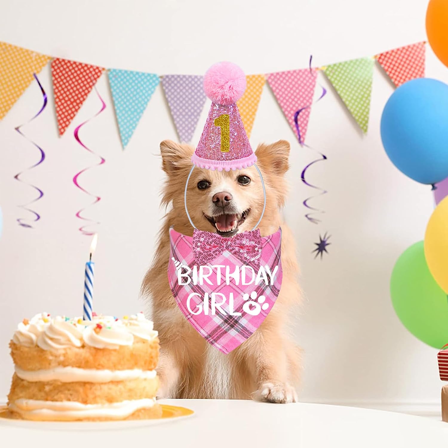 Detalle 2 de STMK Dog Birthday Outfit Set, Small