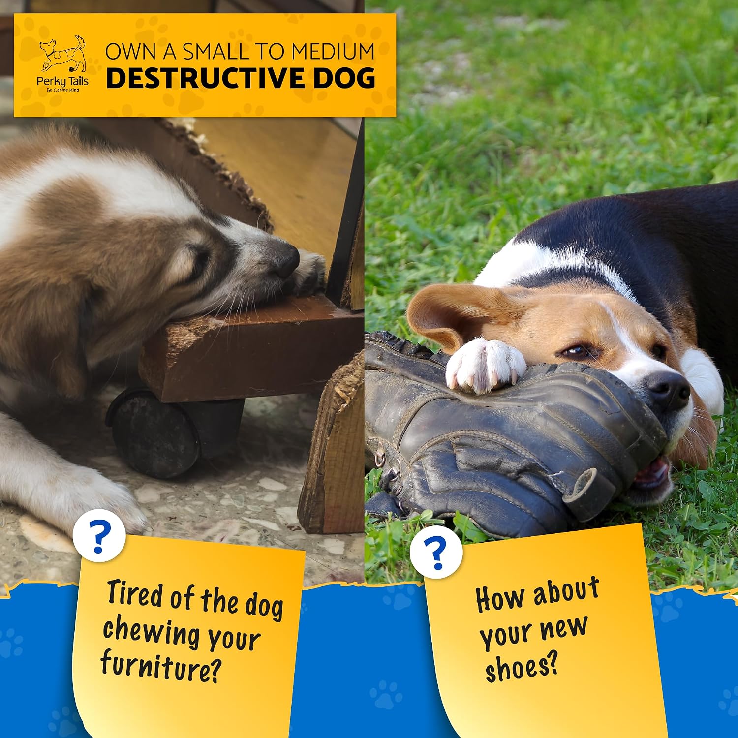 Thumbnail 1 de Perky Tails Almost Indestructible Dog Toys (16.5cm) – Bacon Flavour Hard Nylon Chew Toy, 2-Pack
