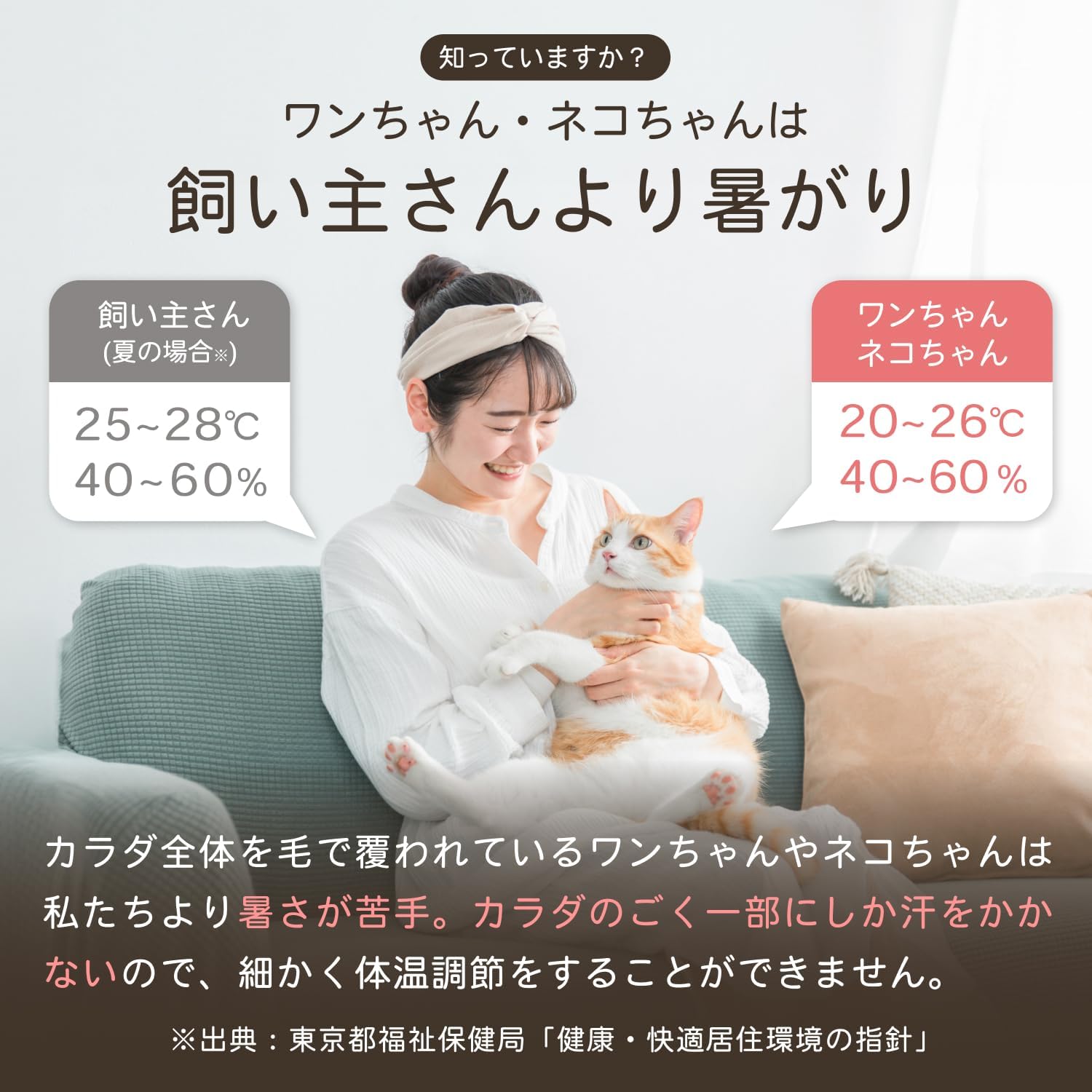 Detalle de ドリテック ここちイーワン O-443ABRPTDI ペット用温湿度計 顔表示・ブラウン
