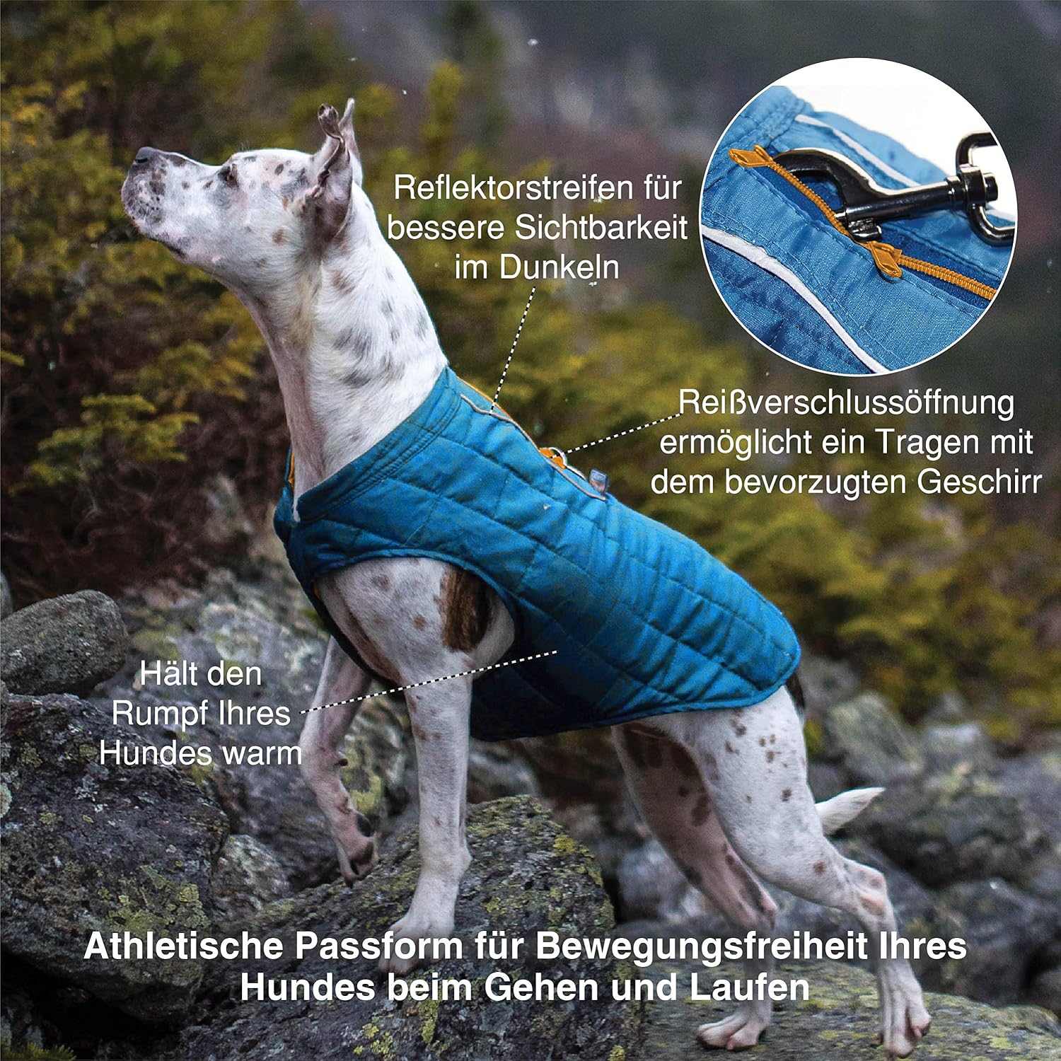 Detalle 2 de Kurgo Loft Hundejacke – Wasserdicht, reflektierend und mit Hundegeschirr kombinierbar (Größe XL, Grau/Lila)