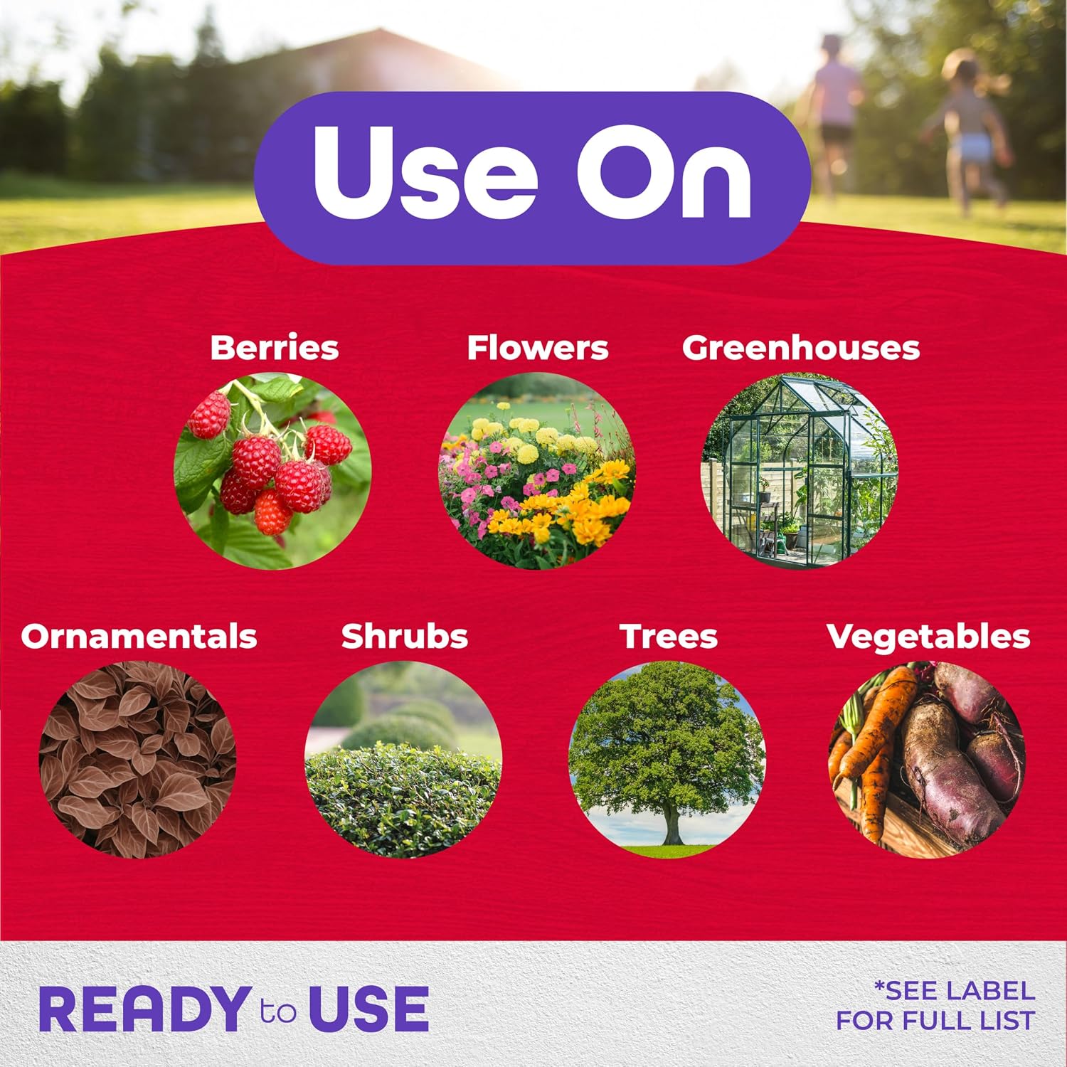 Thumbnail 1 de Bonide Insecticidal Soap, 32 oz Ready-to-Use Spray for Organic Gardening