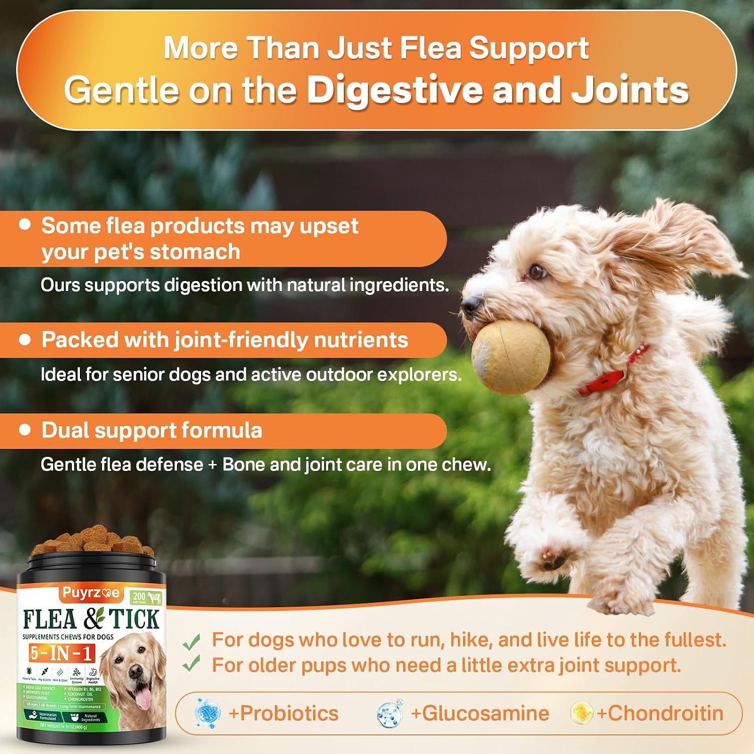 Detalle 1 de Puyrzoe Dog Flea and Tick Chews 5-in-1
