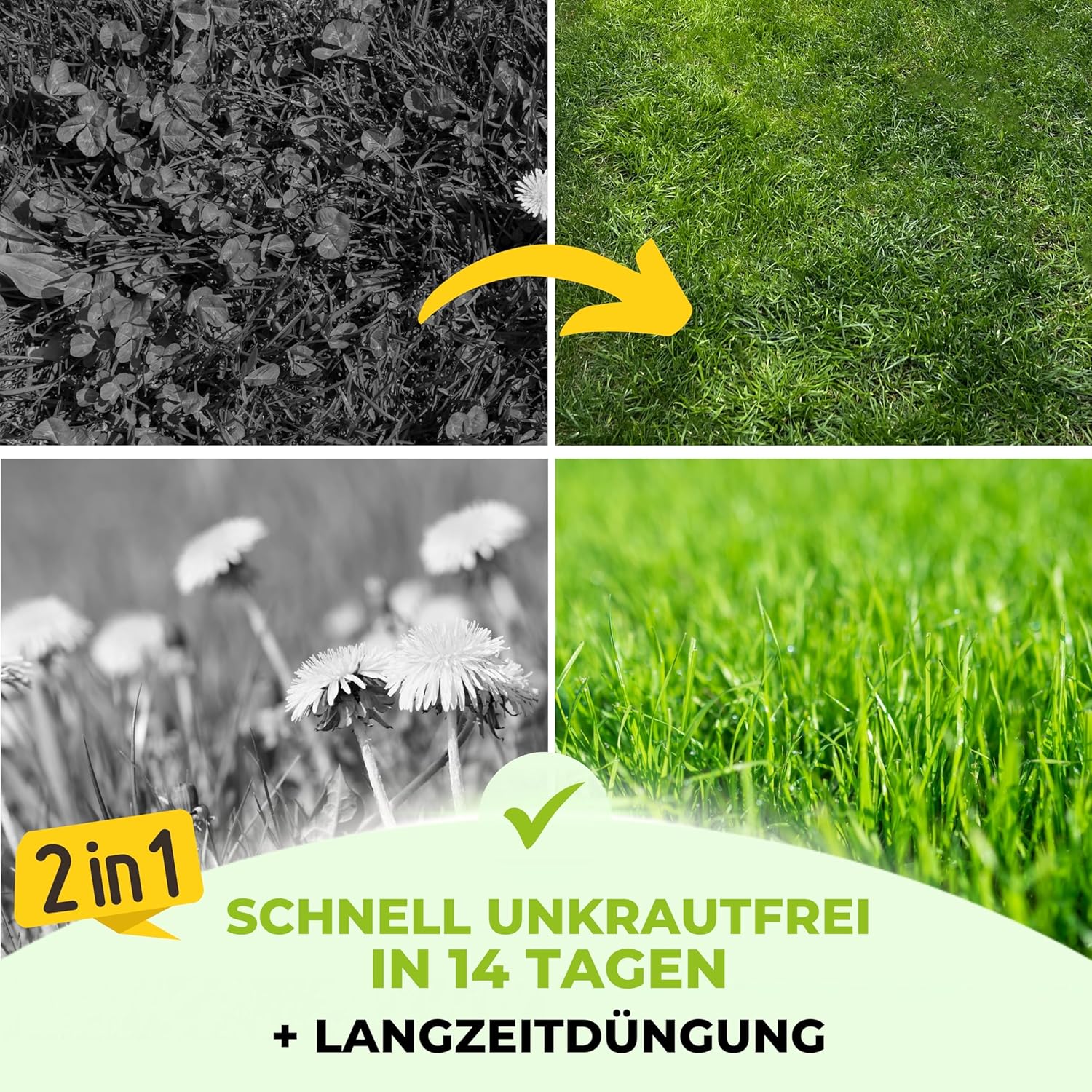 Thumbnail 1 de TerraUno Rasendünger Unkrautvernichter 5 kg