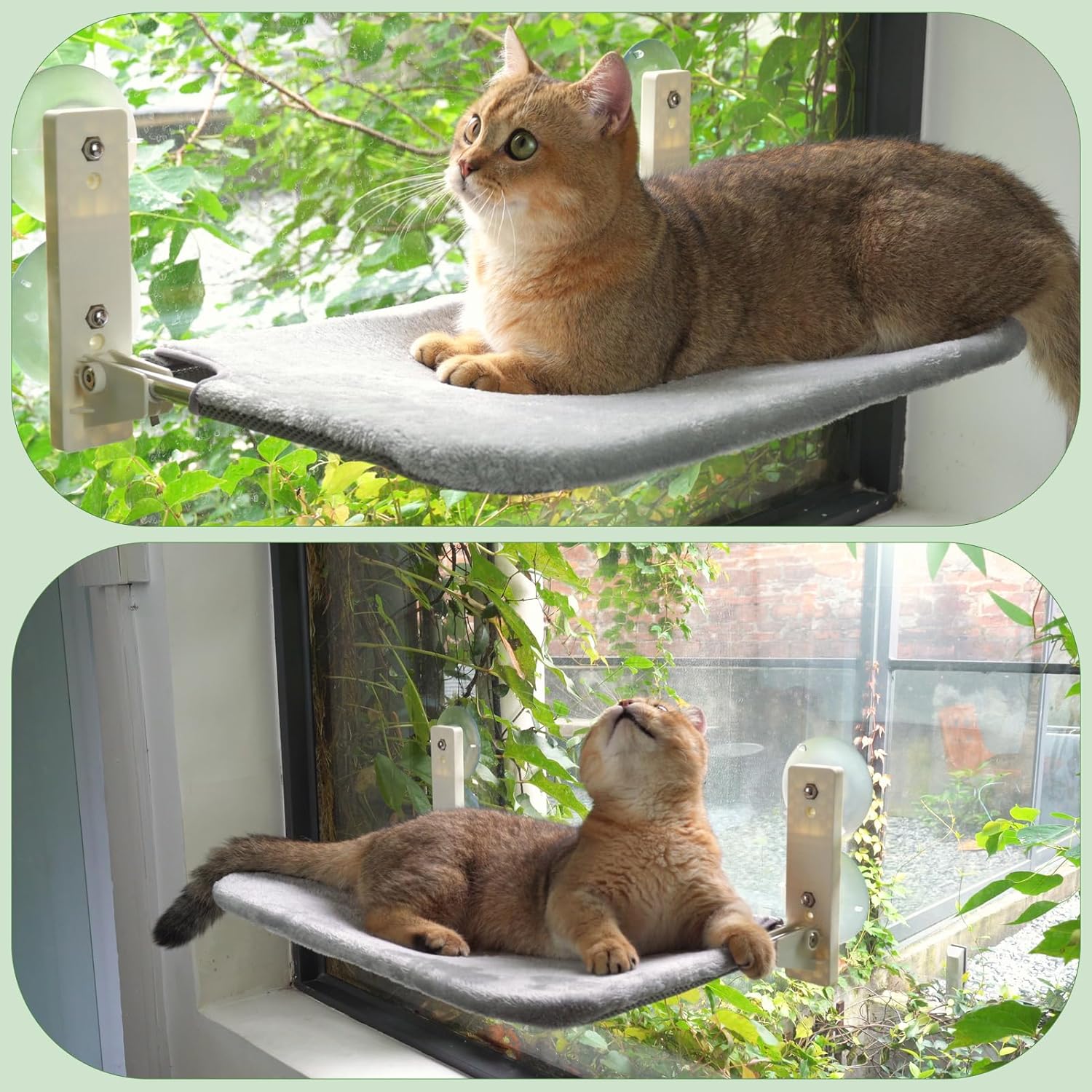 Thumbnail 5 de PEFUNY Cordless Folding Cat Window Perch