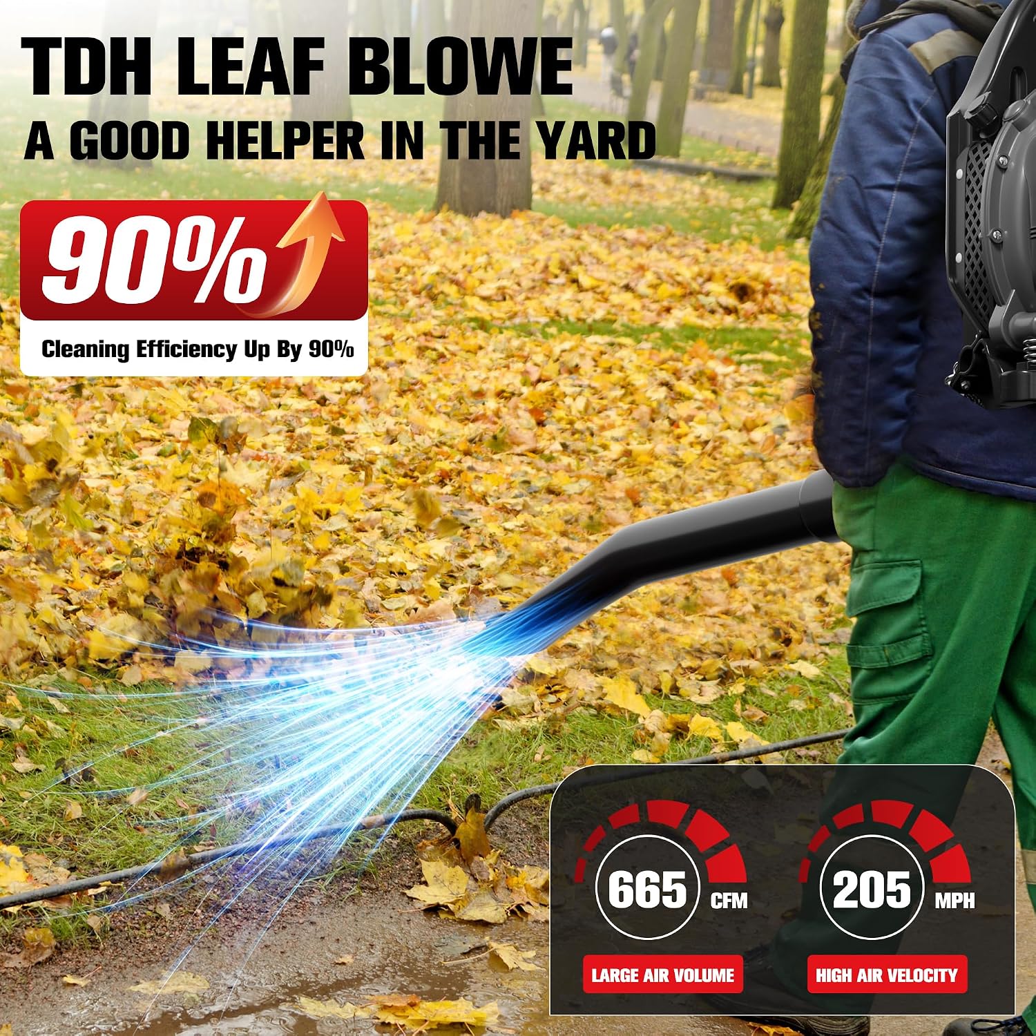 Detalle 2 de TDH Backpack Leaf Blower 63CC