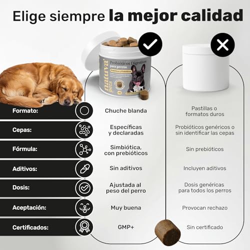 Thumbnail 4 de Probiótico para Perros de natuva pets – Repara la Flora Intestinal y Refuerza el Sistema Inmunológico