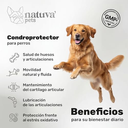 Thumbnail 1 de Condroprotector para Perros de Natuva Pets: Glucosamina, Condroitina, MSM y Ácido Hialurónico en 120 Masticables