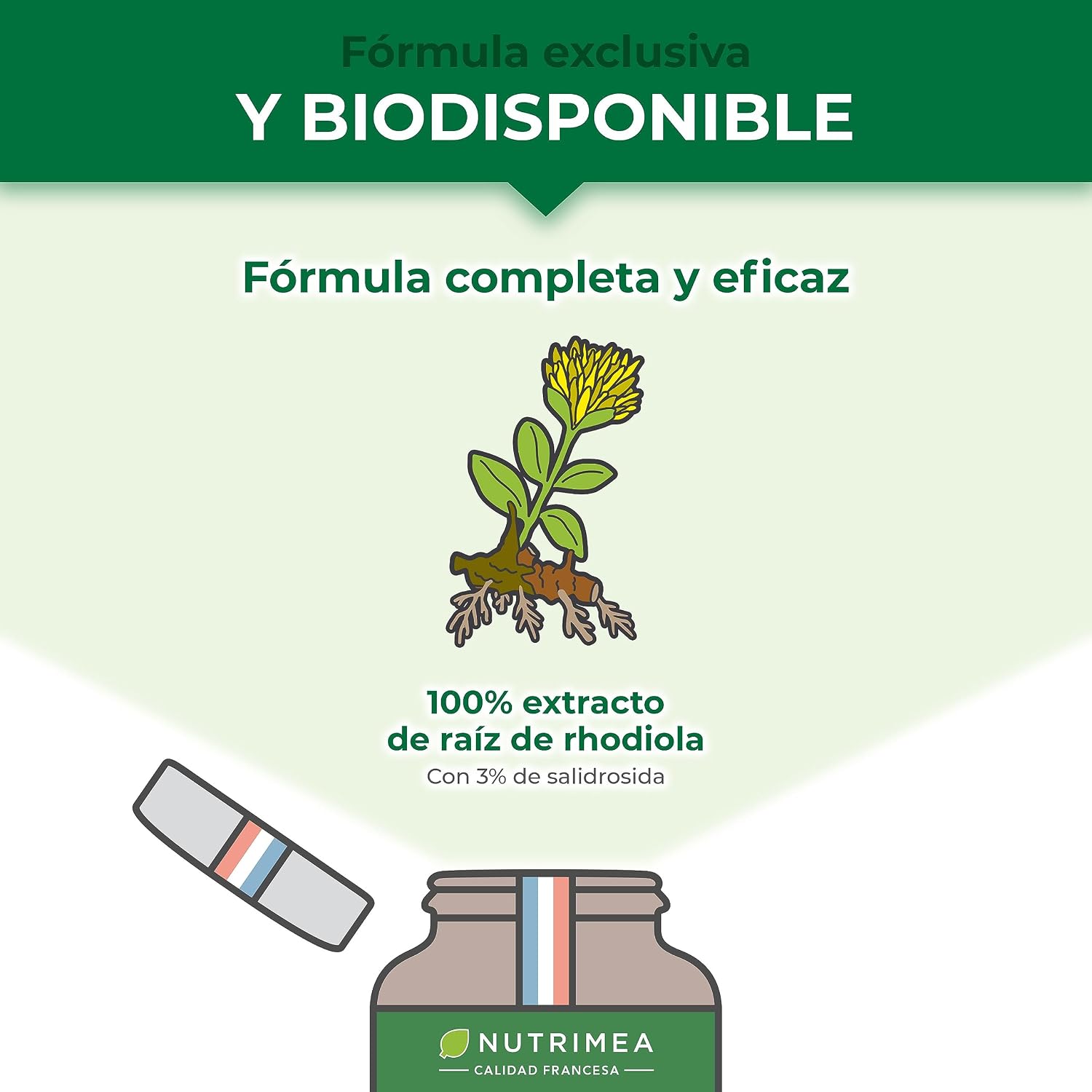 Detalle 2 de Rhodiola Rosea 400 mg cápsulas 120