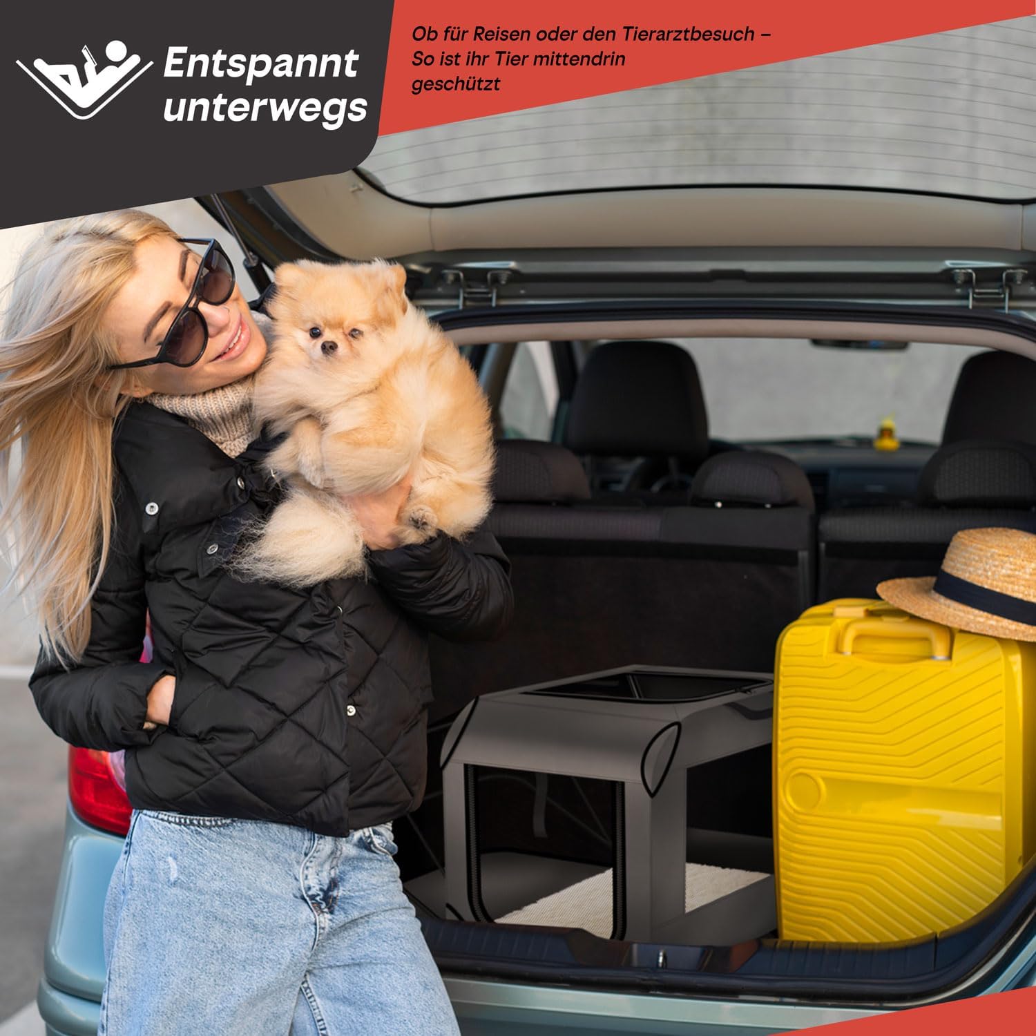 Thumbnail 4 de Cage de Transport pour Chien - Sac pliable 63 x 43 x 40 cm, respirante et imperméable