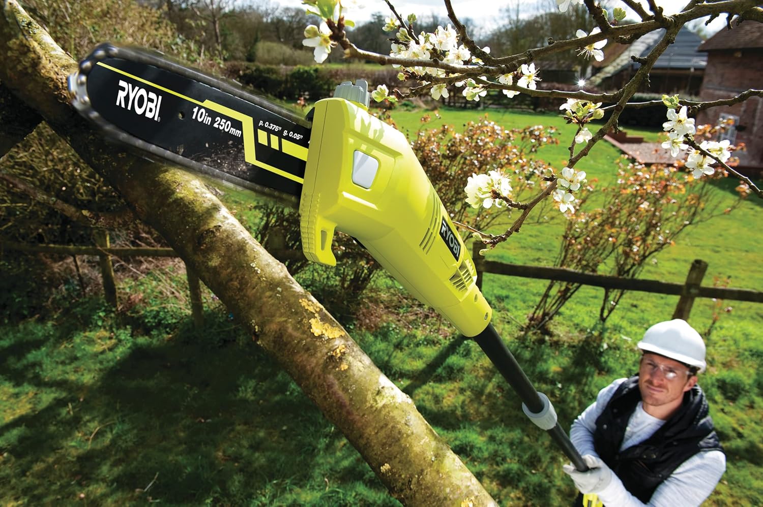Detalle de Ryobi RPP755E Potatore Elettrico 750W