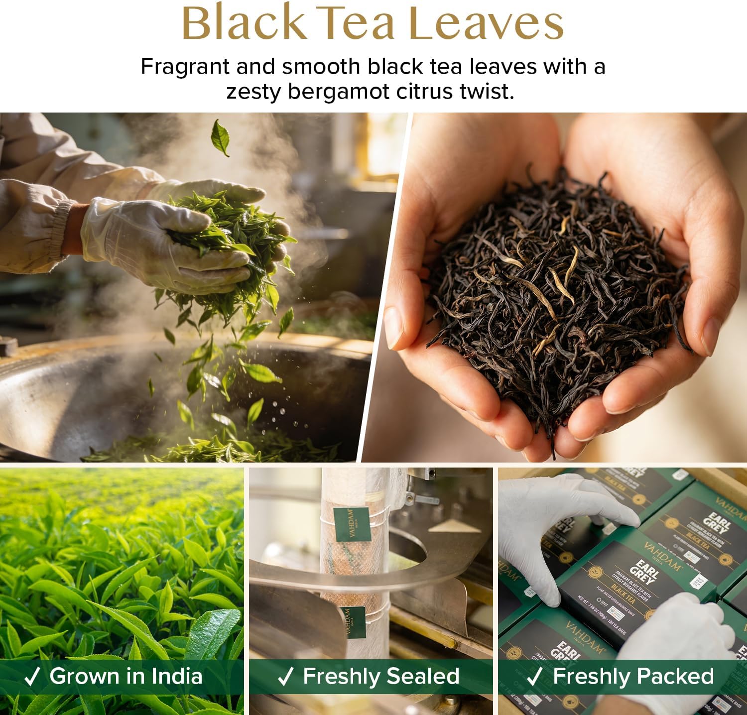 Detalle de VAHDAM Earl Grey Nero in Bustine (100 pezzi) con Bergamotto – Caffeaina Media, Senza Glutine e Non OGM