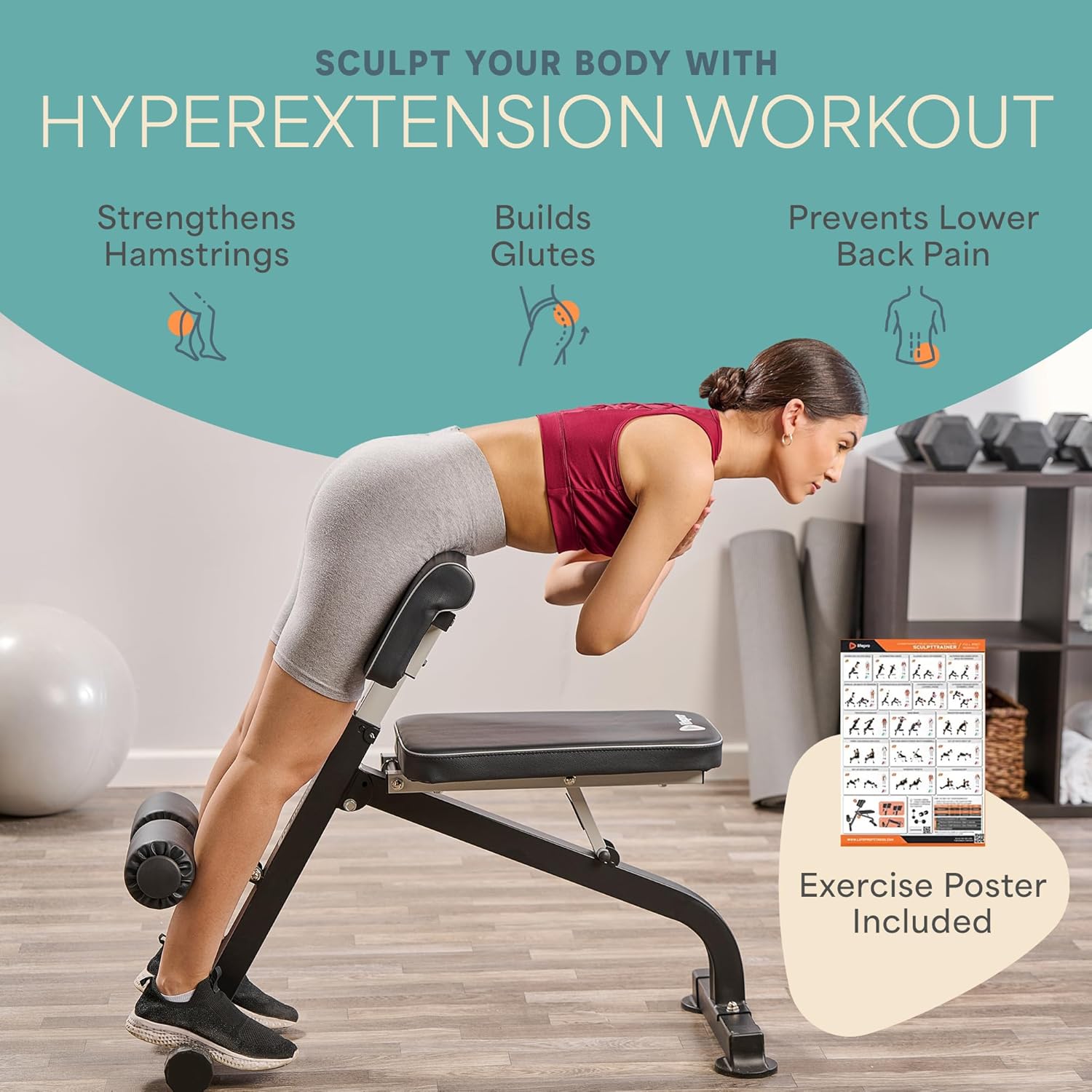 Thumbnail 1 de Lifepro SculptTrainer Roman Chair – Hyperextension Bench for Core & Back Training (Adjustable, Foldable)