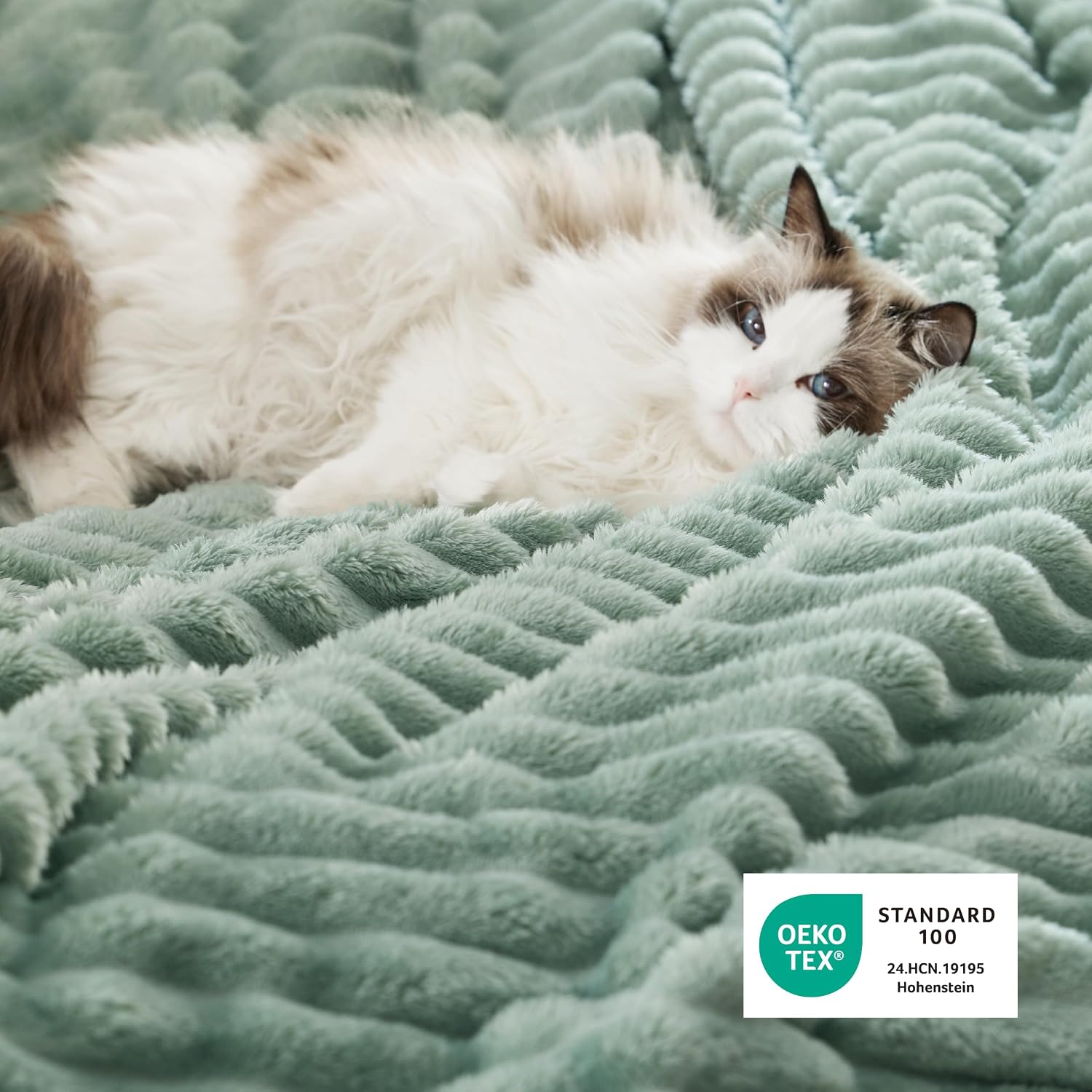 Detalle 2 de Bedsure Soft Sherpa Blanket, Sage Green, Twin 60" x 80