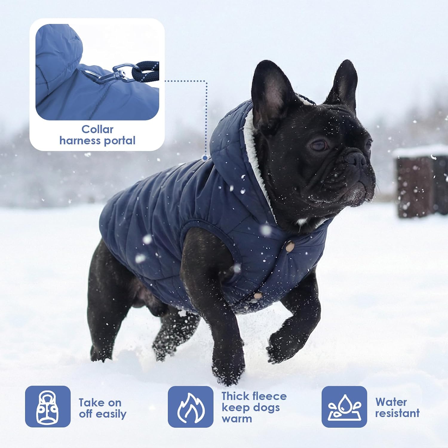 Detalle 1 de SAWMONG Dog Hoodie Blue M Winter Coat with Fleece Lining, Hood and Leash Hole