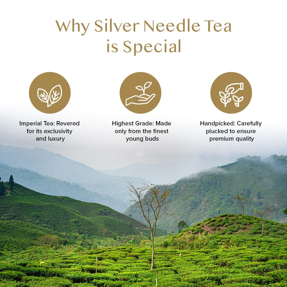 Detalle de VAHDAM Silver Needle Weißtee (50 g) – 100% reine Weißteeknospen, wenig Koffein, vakuumversiegelt