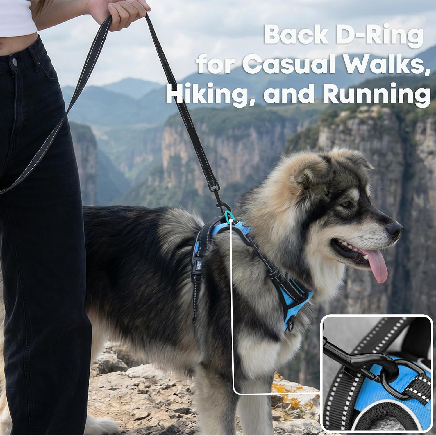 Detalle 2 de PoyPet No Pull Dog Harness, Reflective Vest with 2 Leash Attachments and Easy Control Handle (Blue, S)