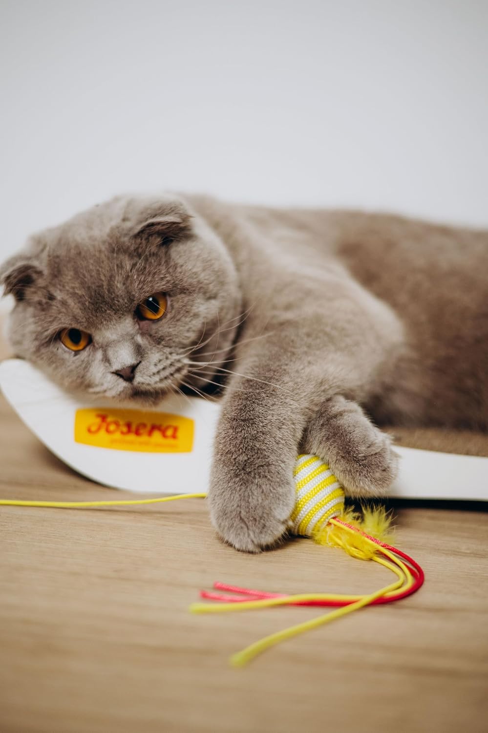 Detalle 2 de Josera Marinesse: Pienso Hipoalergénico para Gatos 🐱 - 10 kg