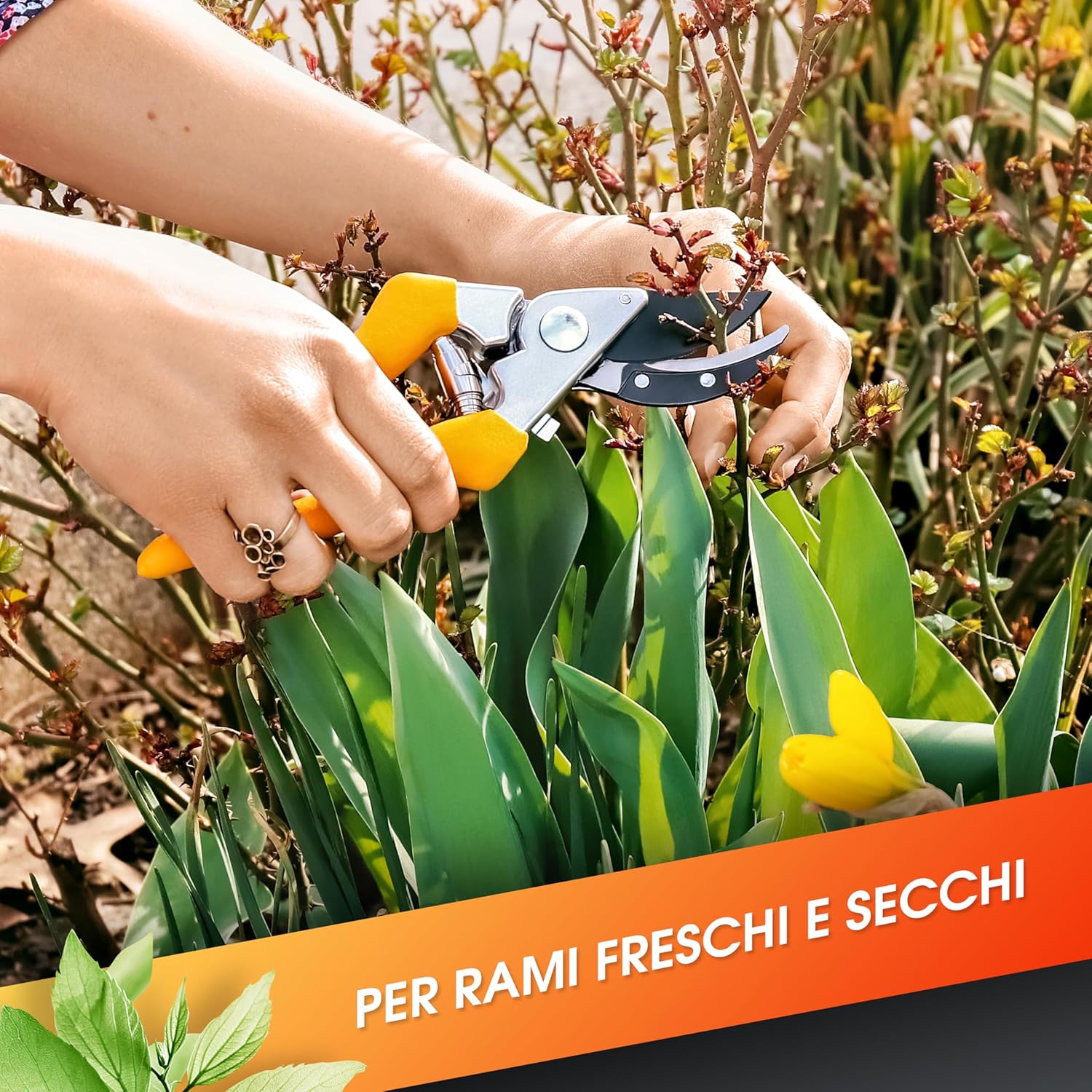 Thumbnail 4 de GRÜNTEK Forbici Cesoie da Potatura Giardino 21 cm con lama Giapponese – modello universale