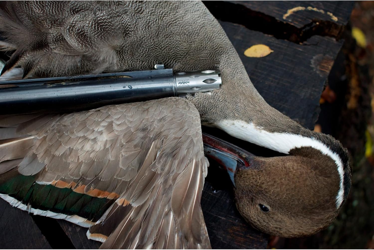 Thumbnail 5 de Avian-X AVX-WFL-HM03 Waterfowl Crusher Choke Tube, Heavy MOD, 12G INVPLUS