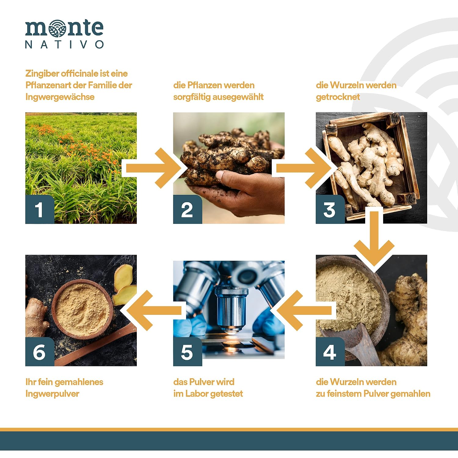 Detalle 2 de Ingwerpulver Bio Monte Nativo 500 g 🧂