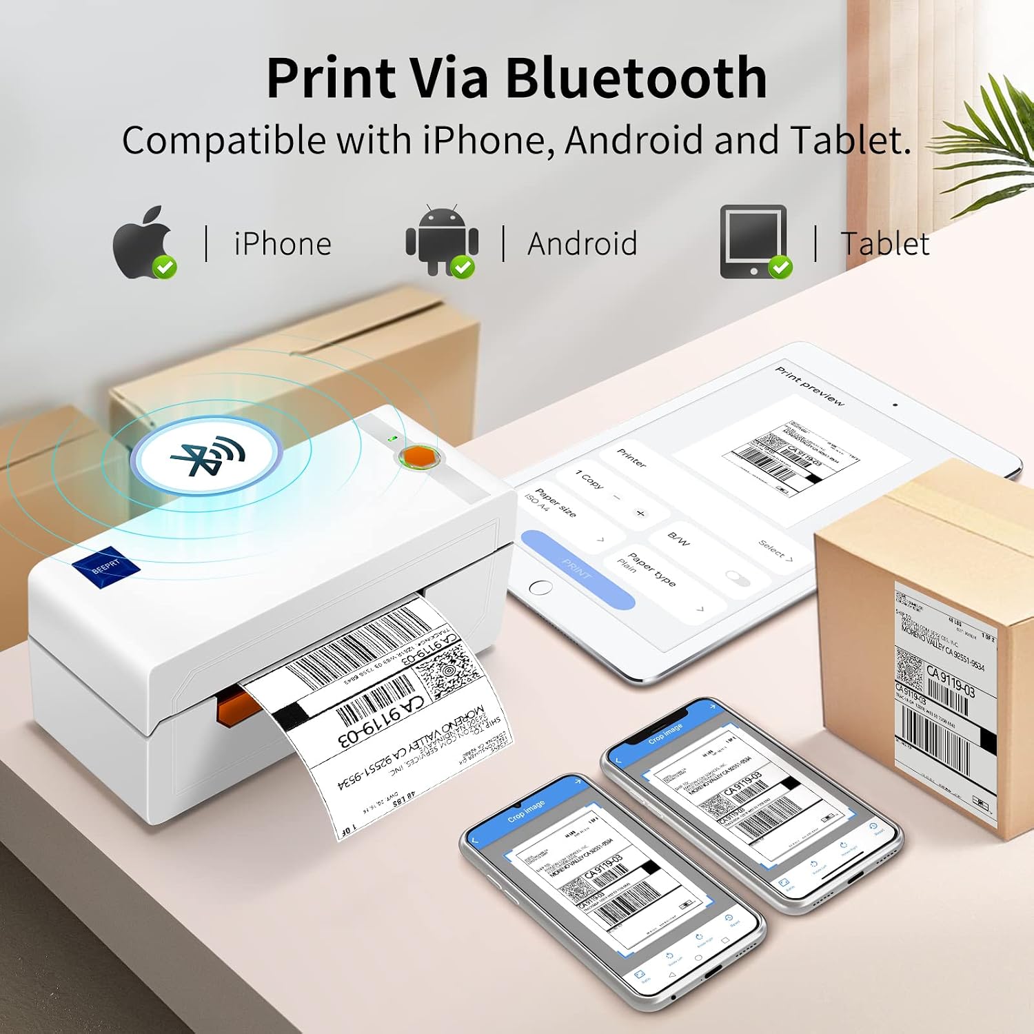 Detalle de JADENS Bluetooth Thermal Label Printer 150 mm/s