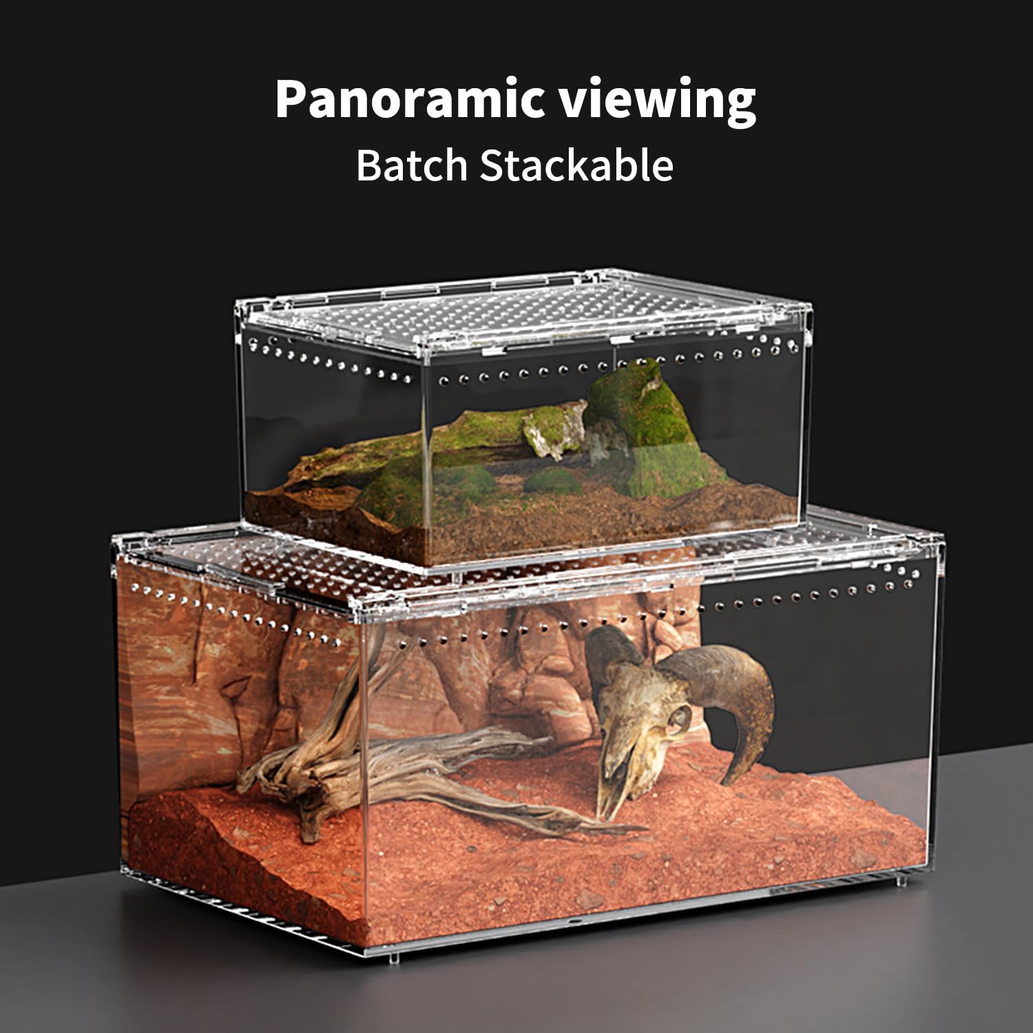 Thumbnail 5 de KAKOOTI Reptilien-PC-Terrarium 20 x 15 x 10 cm – Kleines Starter-Terrarium für Geckos, Spinnen und Co.