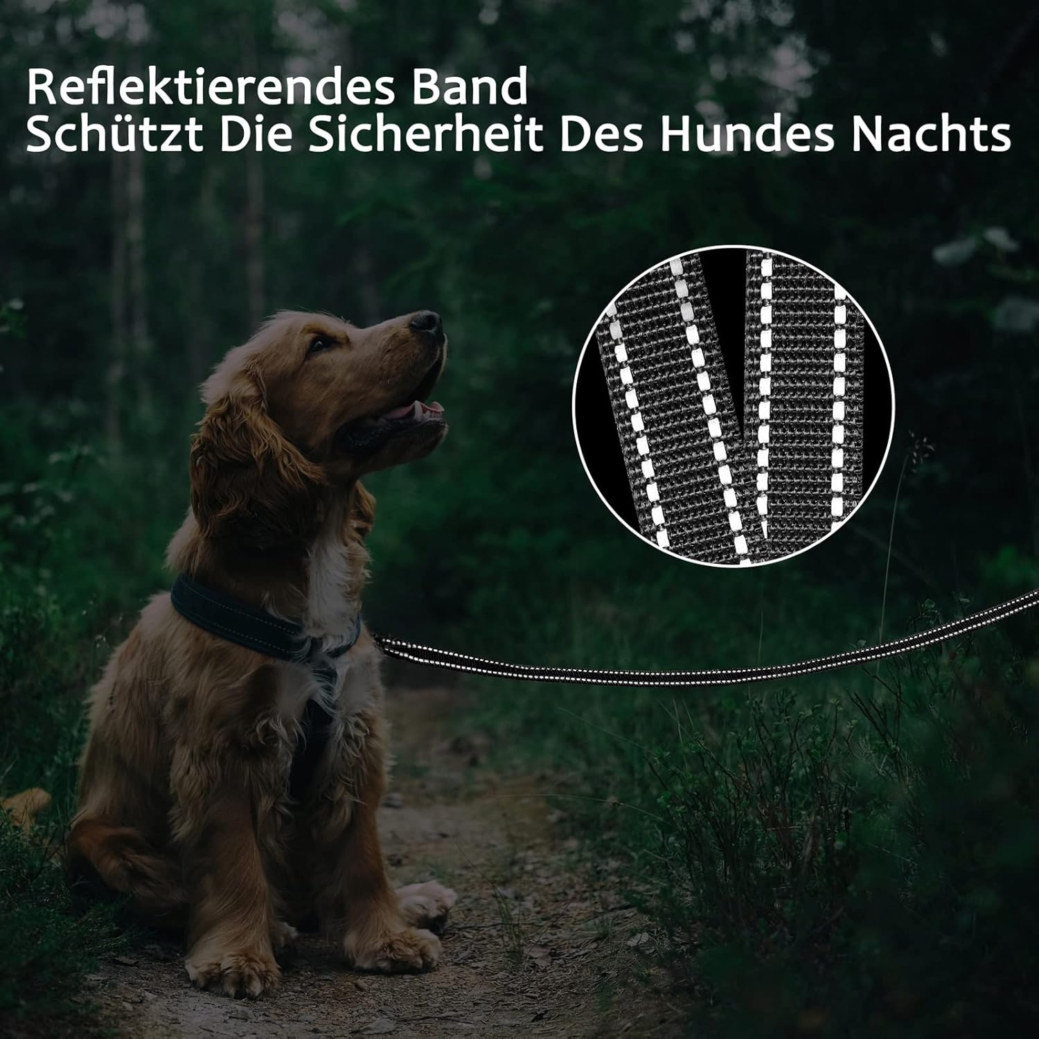 Thumbnail 4 de Demigreat Schleppleine für Hunde mit reflektierenden Streifen (3 m–20 m) – gepolsterter Griff & Drehhaken