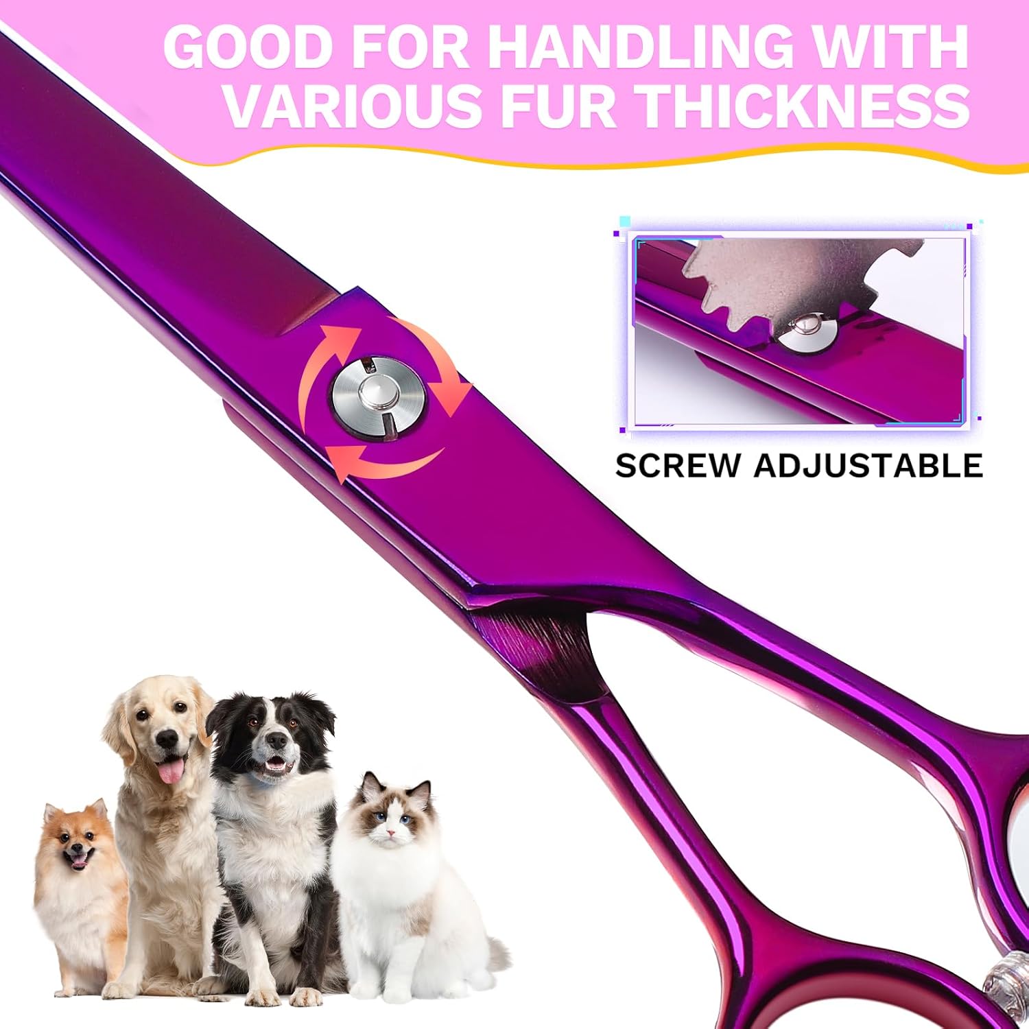 Detalle de Ciseaux professionnels courbes JASON 7,5" pour chiens et chats – violet