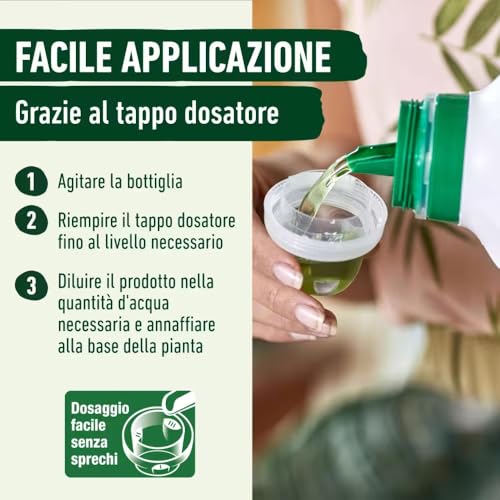 Detalle de COMPO Concime Liquido Per Rododendri, Azalee, Camelie e Ortensie - 1L