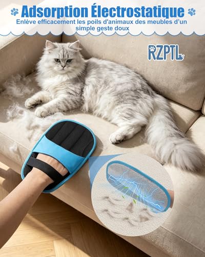 Detalle 2 de Lot de 2 Gants Anti Poils Animaux, Solution pratique pour chats et chiens (Bleu) – RZPTL