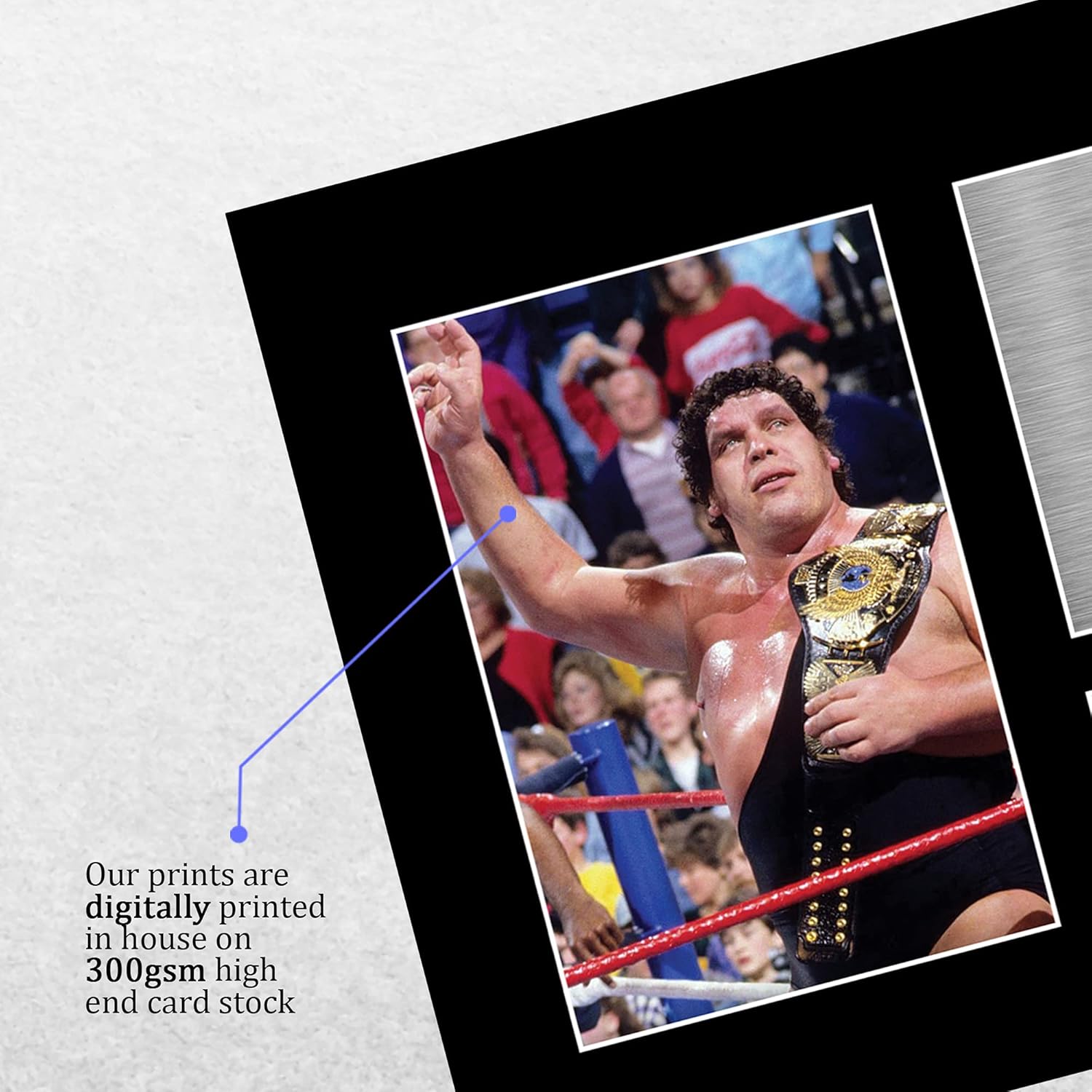 Thumbnail 3 de HWC Trading A4 Andre the Giant signed autograph display picture (A4) for WWE & WWF memorabilia fans