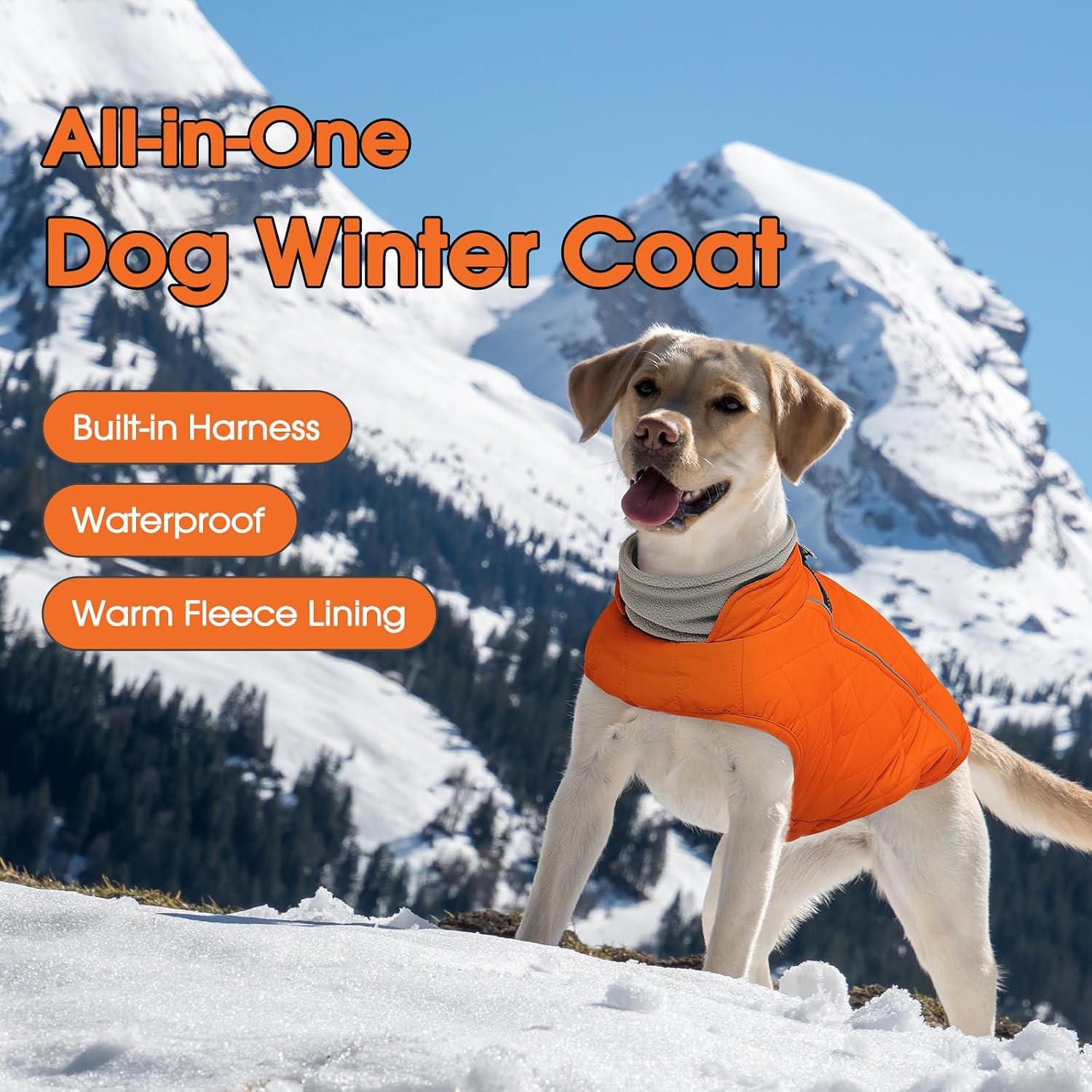 Detalle 2 de QBLEEV dog coat, size M