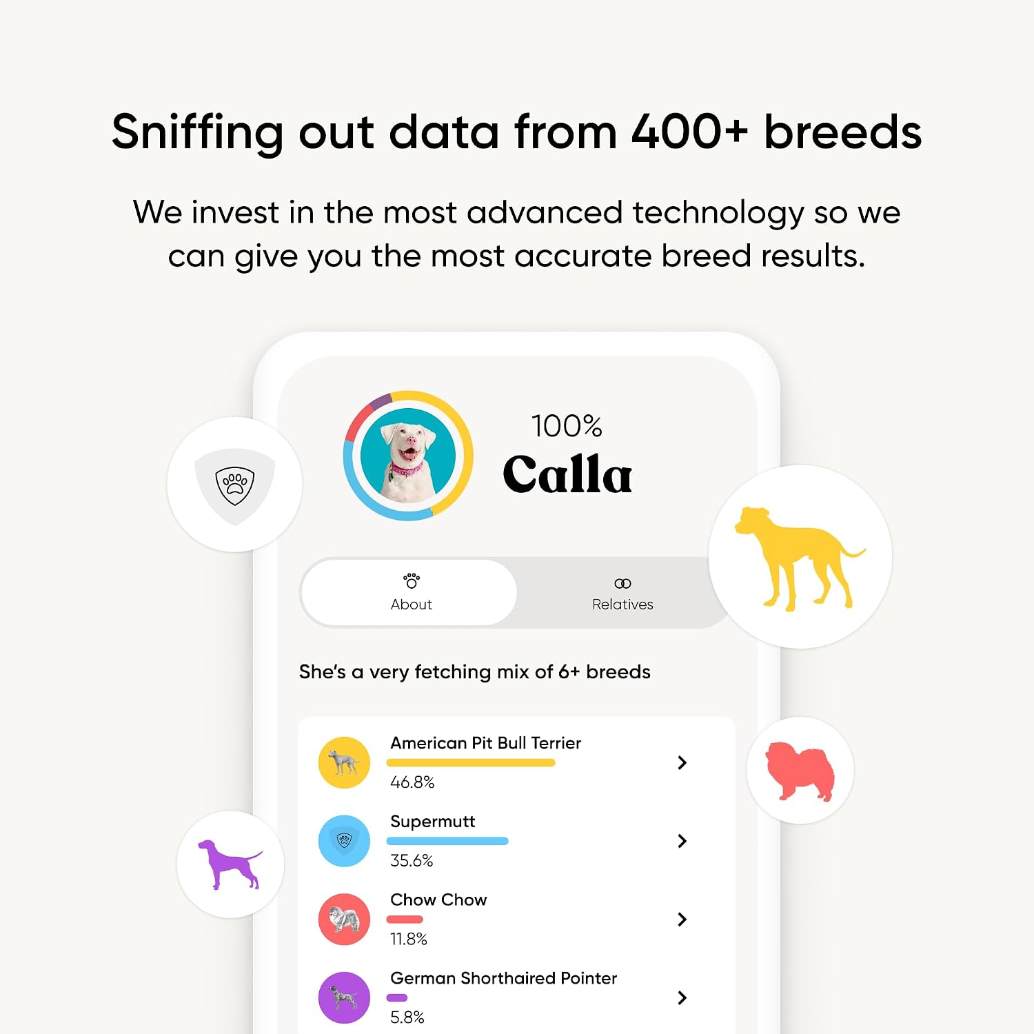 Detalle 2 de Embark Breed Identification Kit 99% accuracy