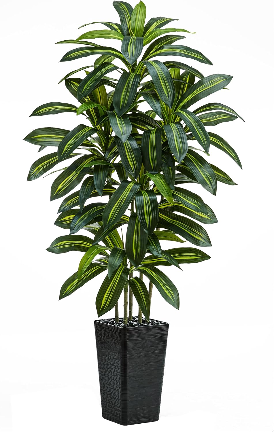 Thumbnail 6 de TNGGNT Dracaena Tree 5FT artificial plant