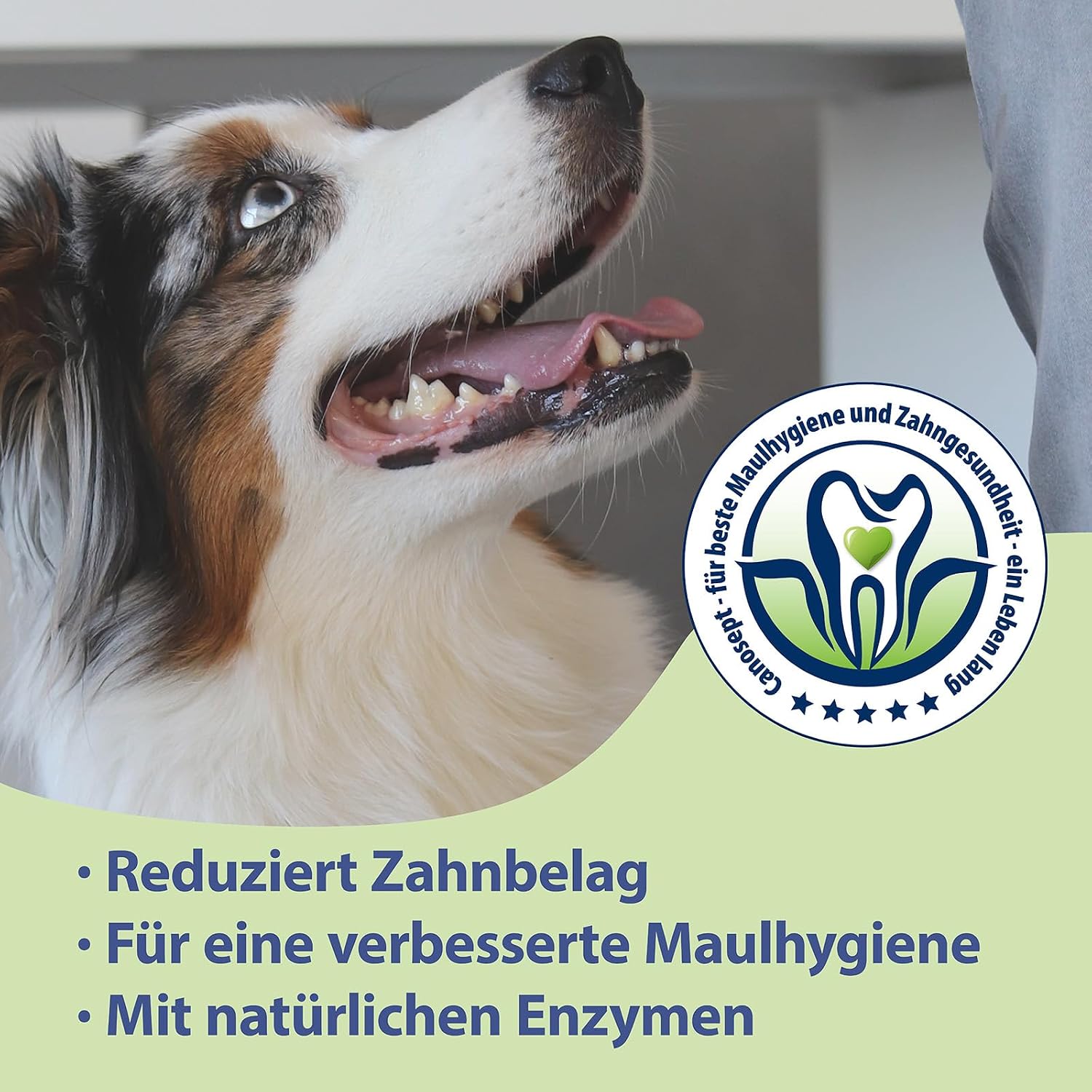 Detalle de Canosept Zahnpflegespray für Hunde 100 ml – Zahnsteinentferner und Mundgeruchbekämpfer