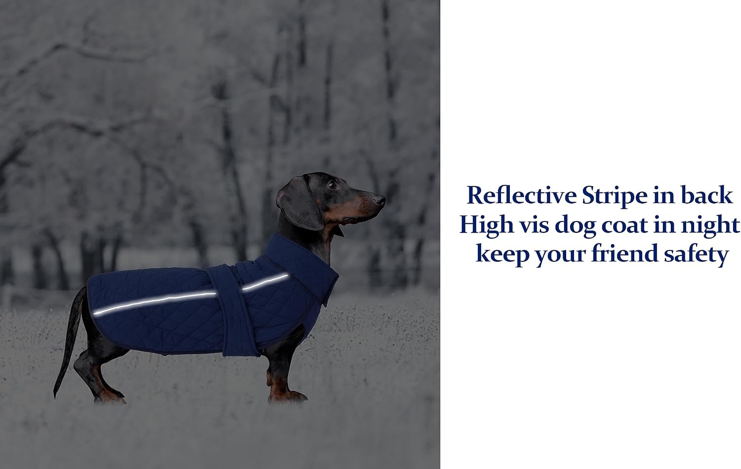 Detalle de Morezi Dachshund Coat: Navy Water-Resistant Fleece Jacket with Reflective Stripe (Size L) for Miniature Sausage Dogs