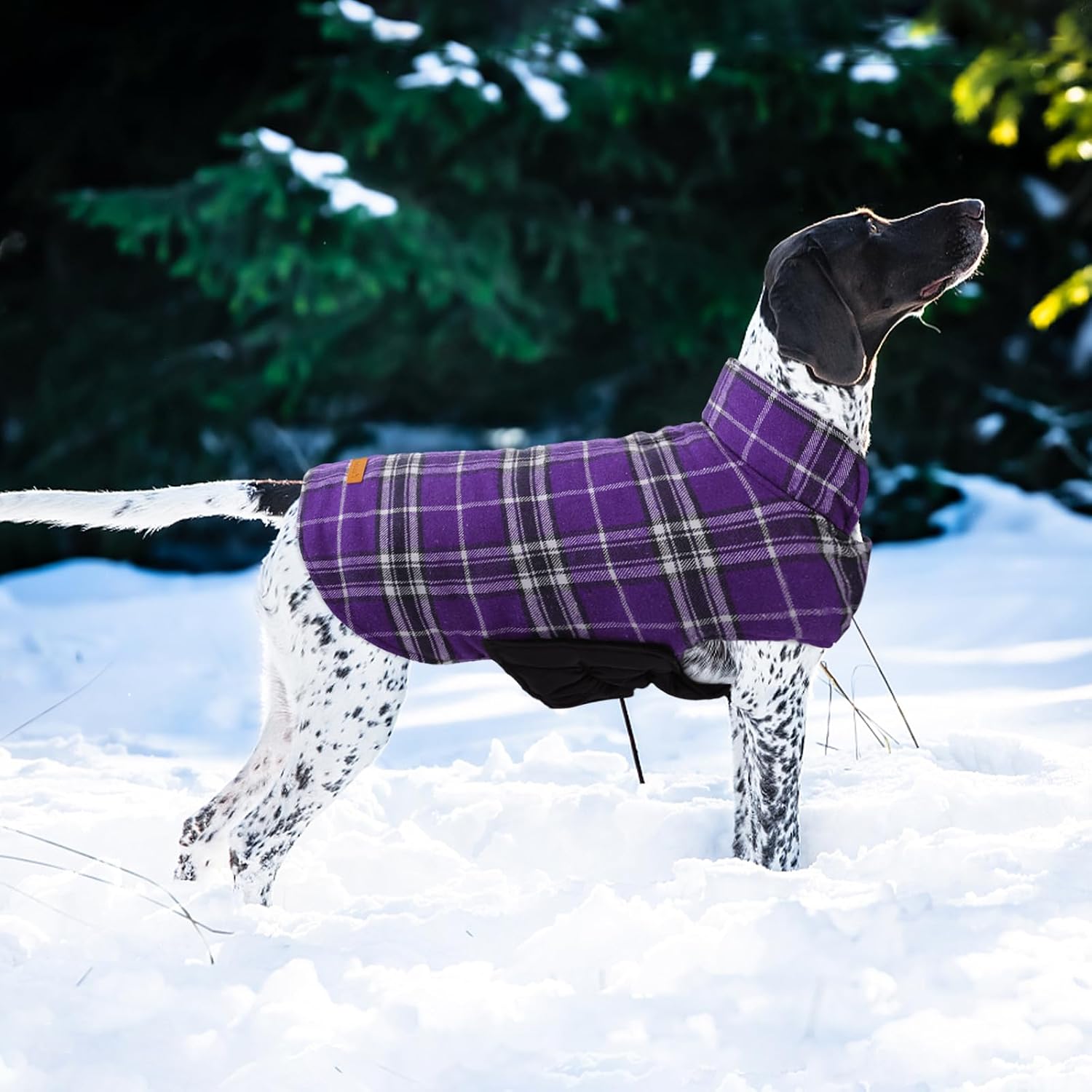 Thumbnail 6 de Kuoser Dog Coat, 2XL