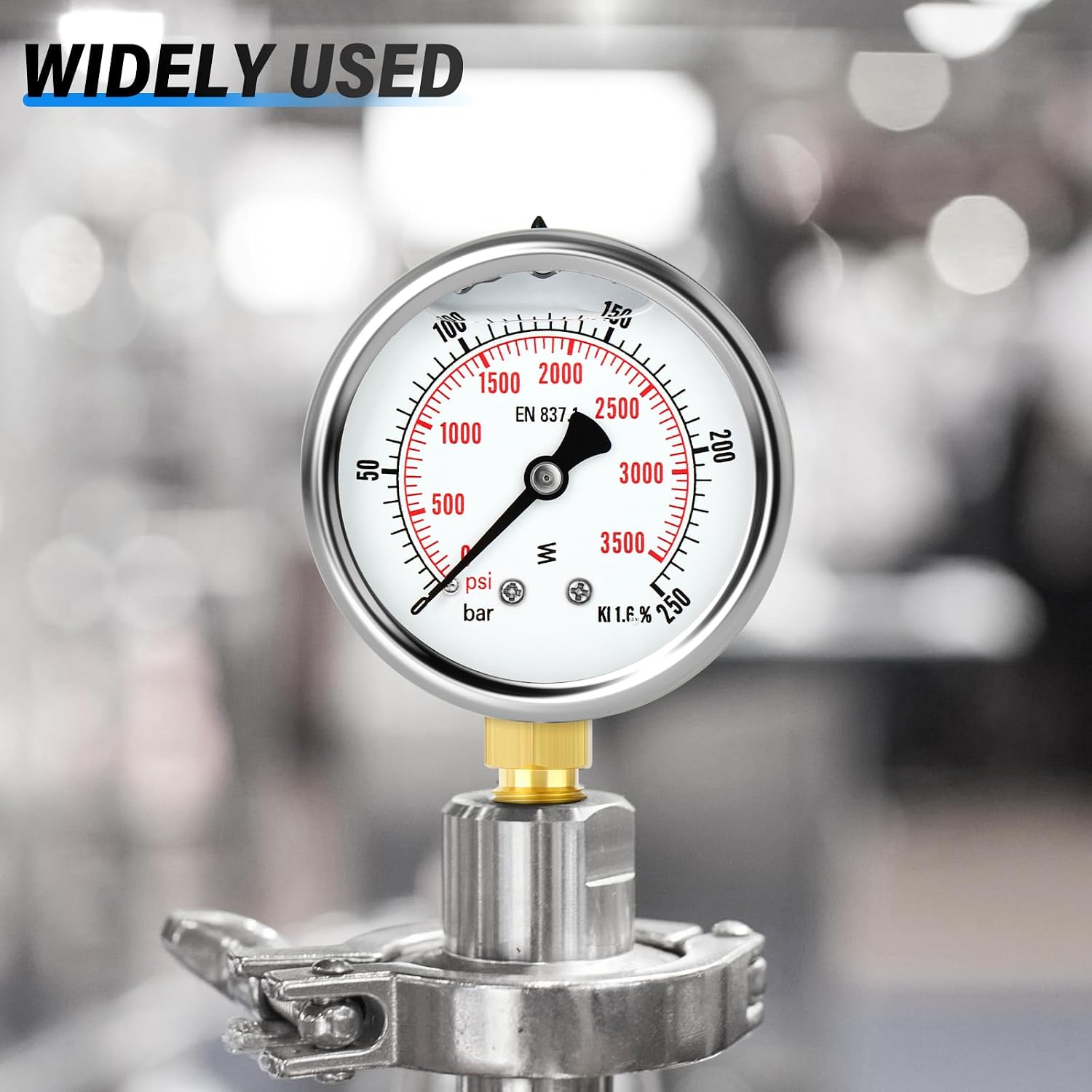 Thumbnail 6 de TAILONZ Pneumatic Flüssigkeitsgefülltes Manometer Edelstahl 0-250 bar | 1/4" BSP | 2,5" Zifferblatt