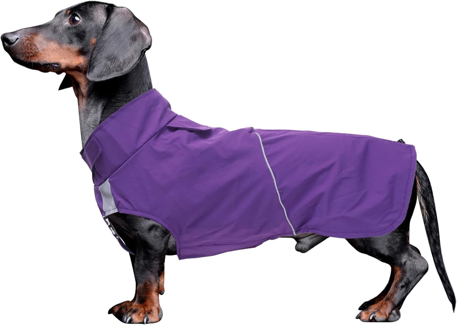 Detalle de Dachshund Waterproof Raincoat XS