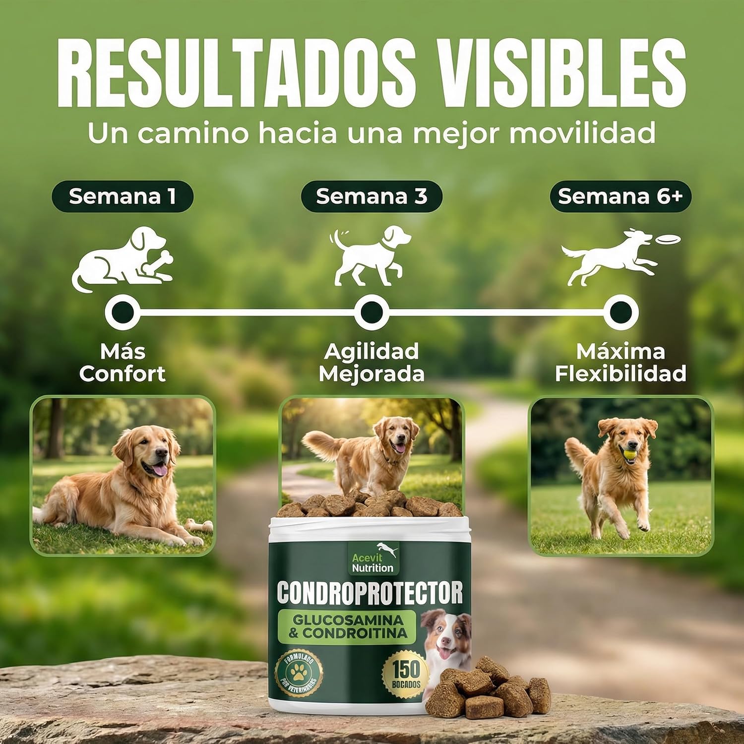 Detalle de Acevit Nutrition Condroprotector para Perros 100% Natural (150 uds) con glucosamina, condroitina y MSM