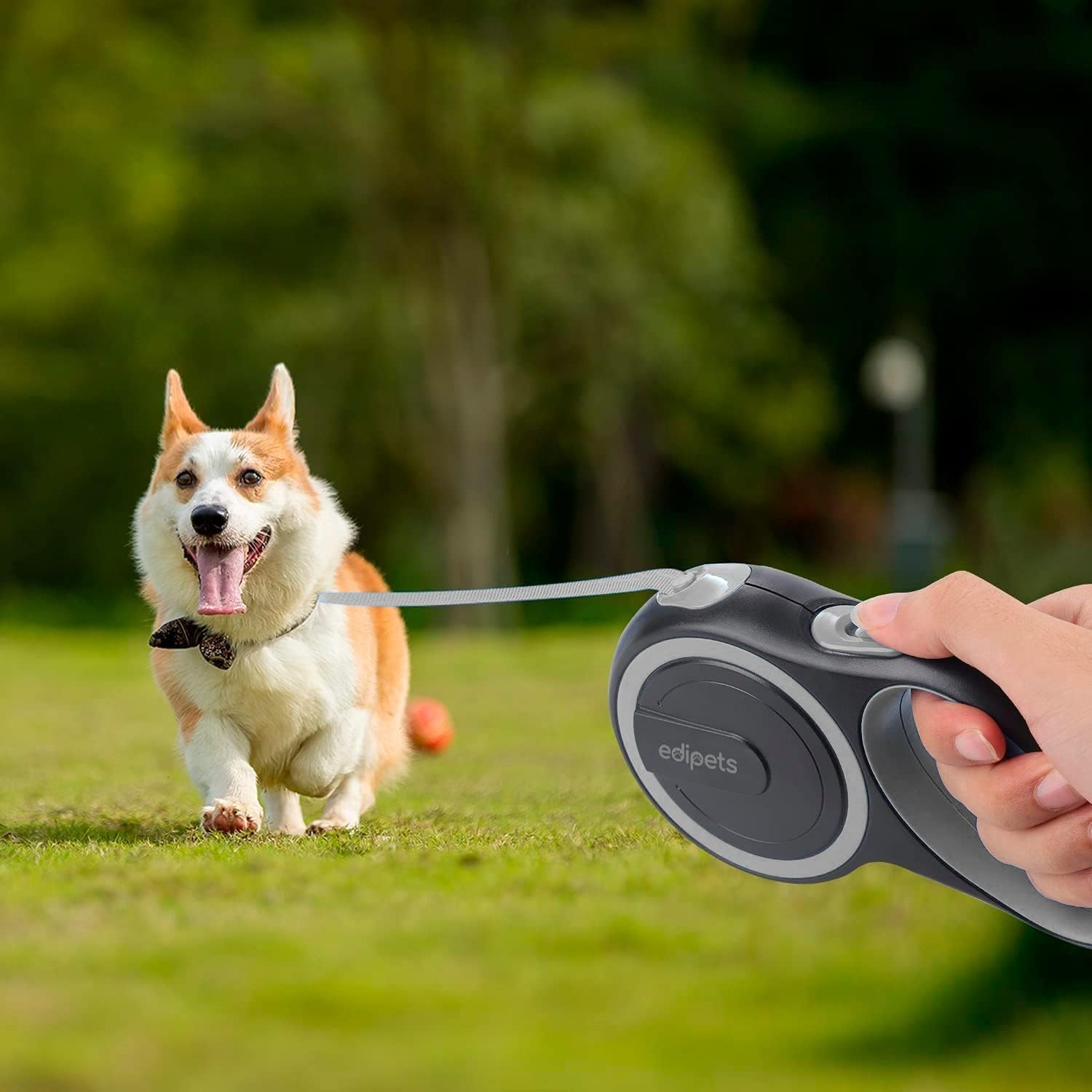 Detalle de Edipets Extendable Dog Leash 5 metres 🐕