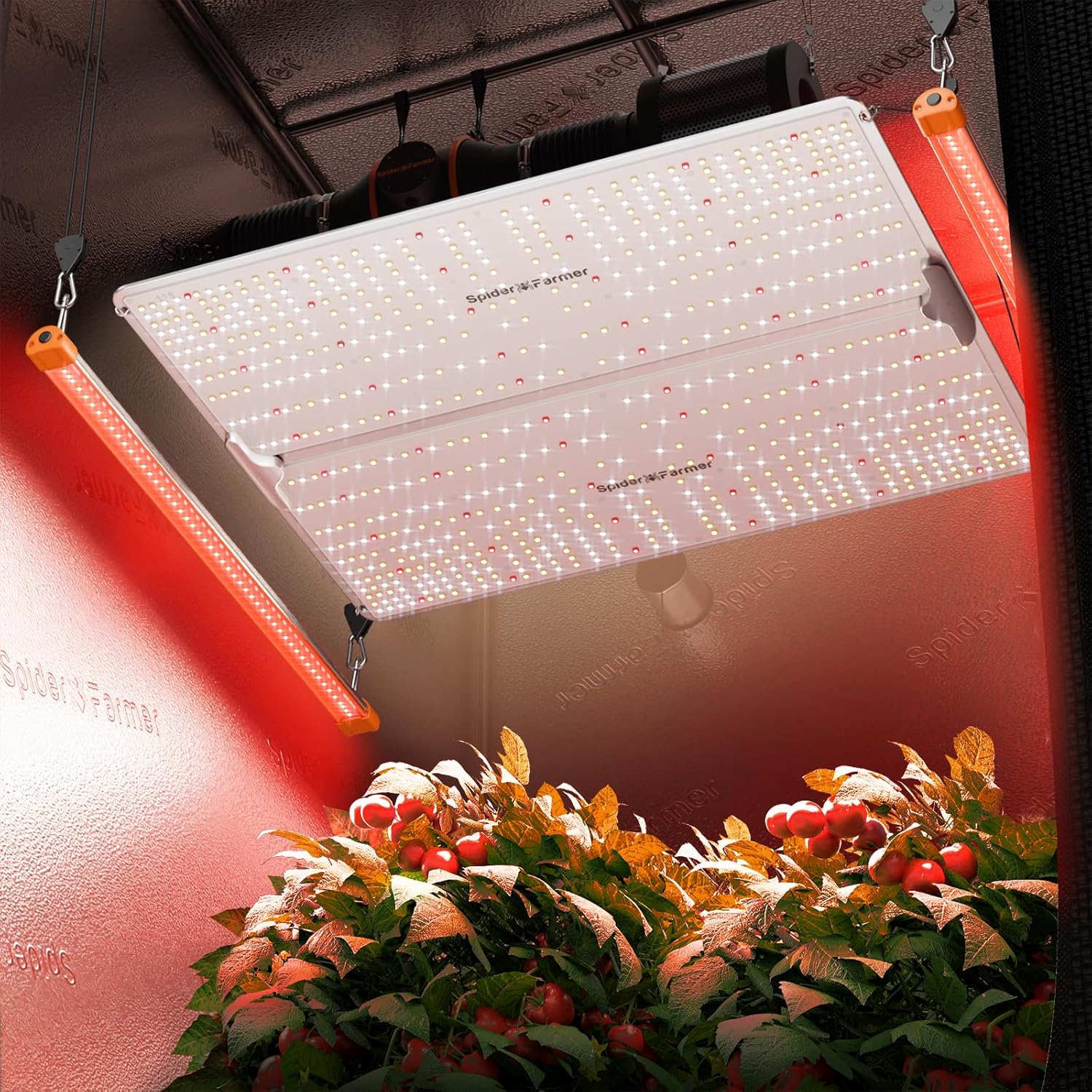Thumbnail 6 de Spider Farmer SUPP-R60 Deep Red LED Licht 90 cm