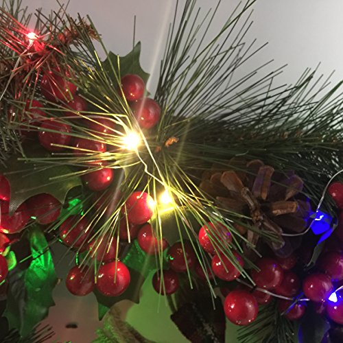 Detalle de Everfit Lighting 2 30 LED Strips, 50 Lights, 18-ft Silver Wire ⚡